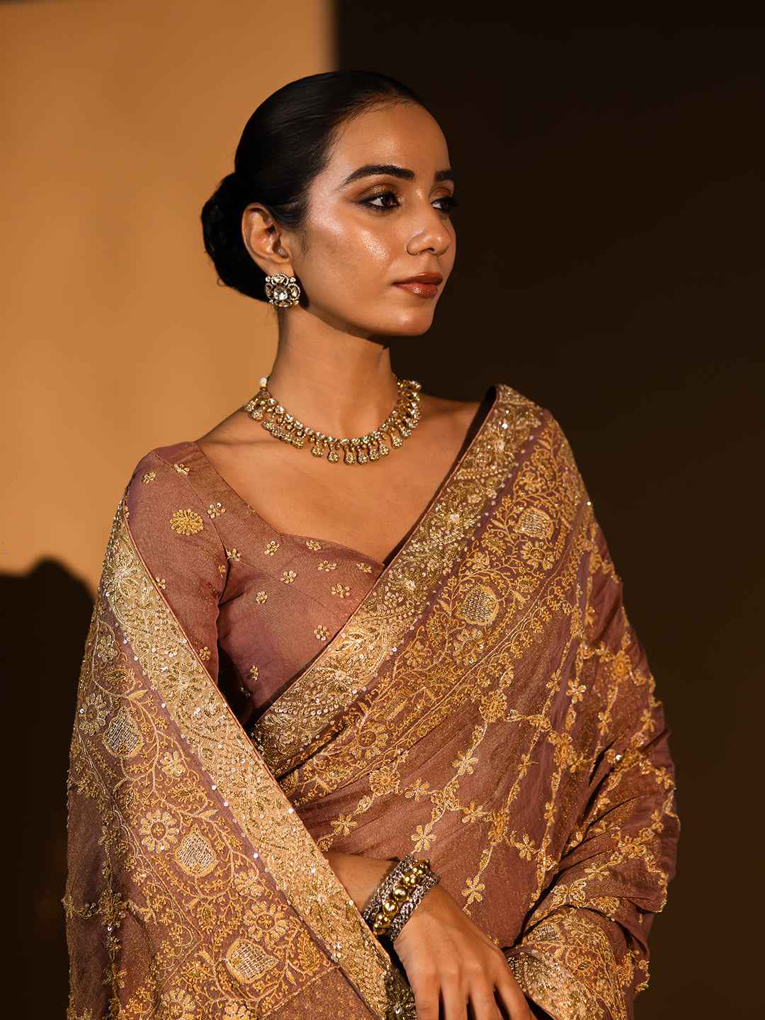 Garnet Pure & Premium Tissue Chikankari Saree