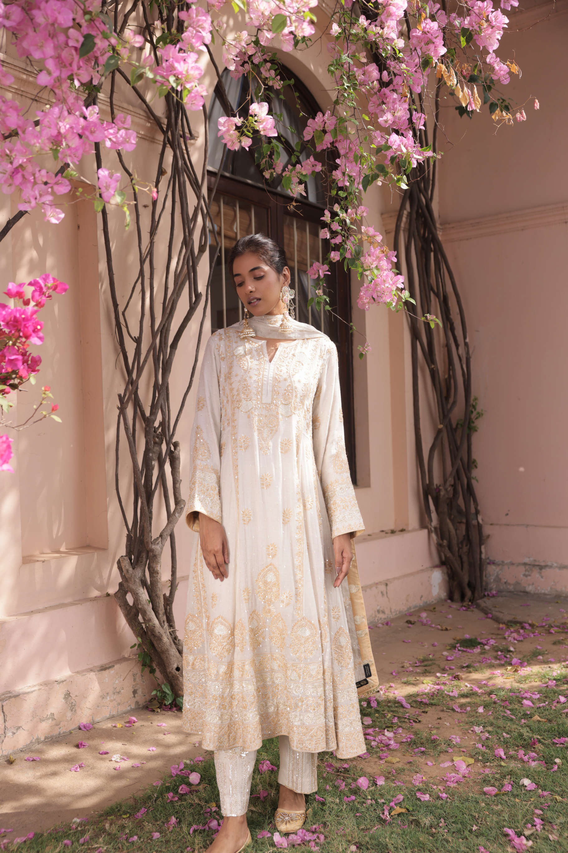 Dyeable Silver Tissue Chikankari Anarkali & Dupatta