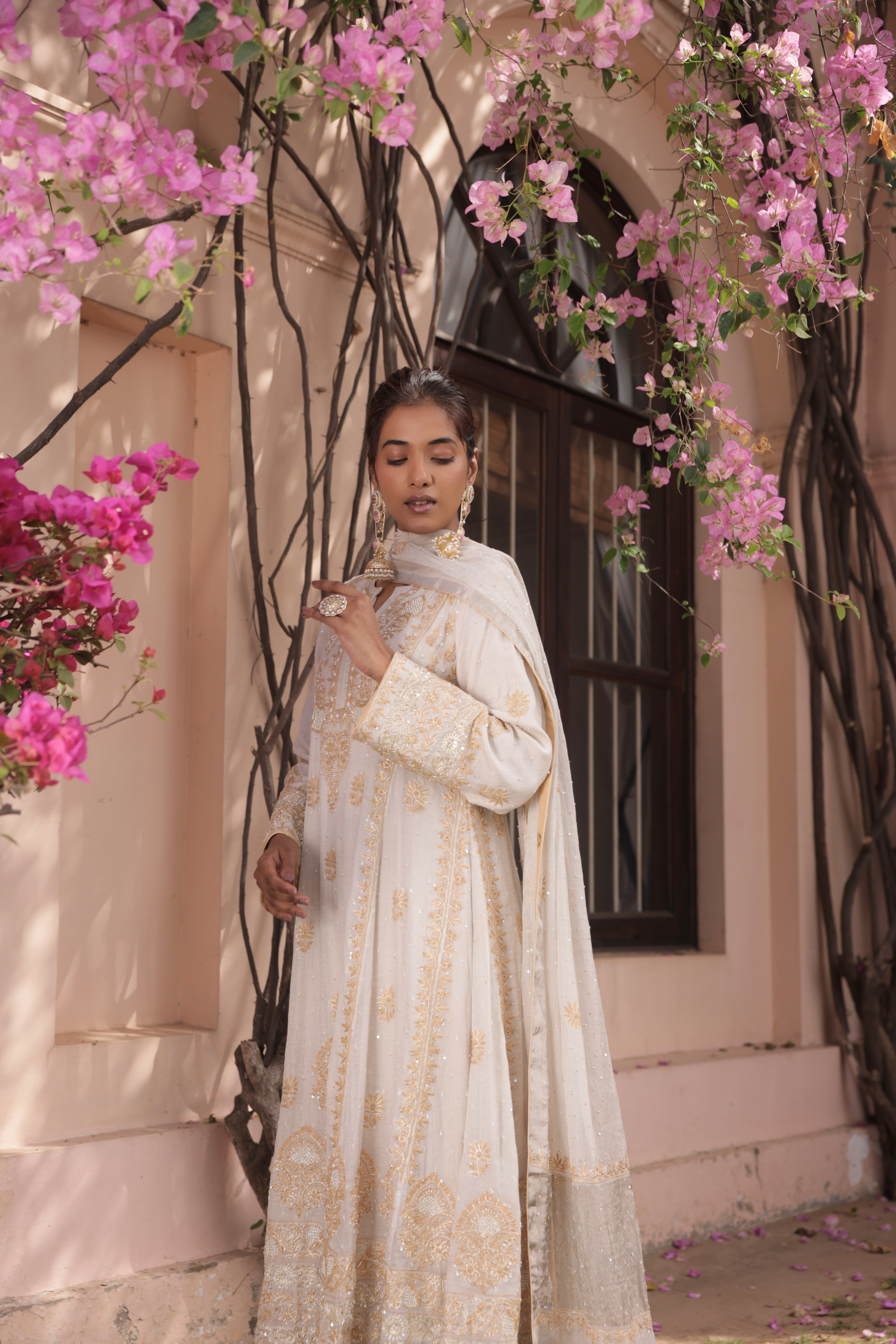 Dyeable Silver Tissue Chikankari Anarkali & Dupatta