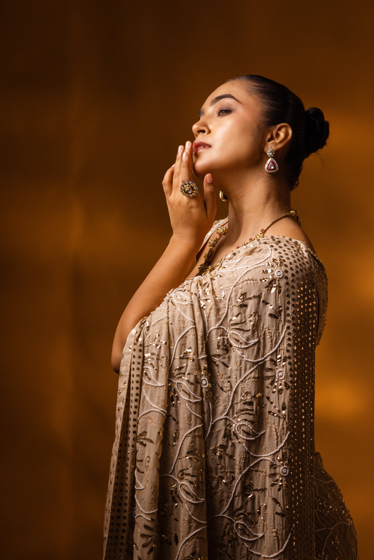 Champagne Beige Mukaish Saree