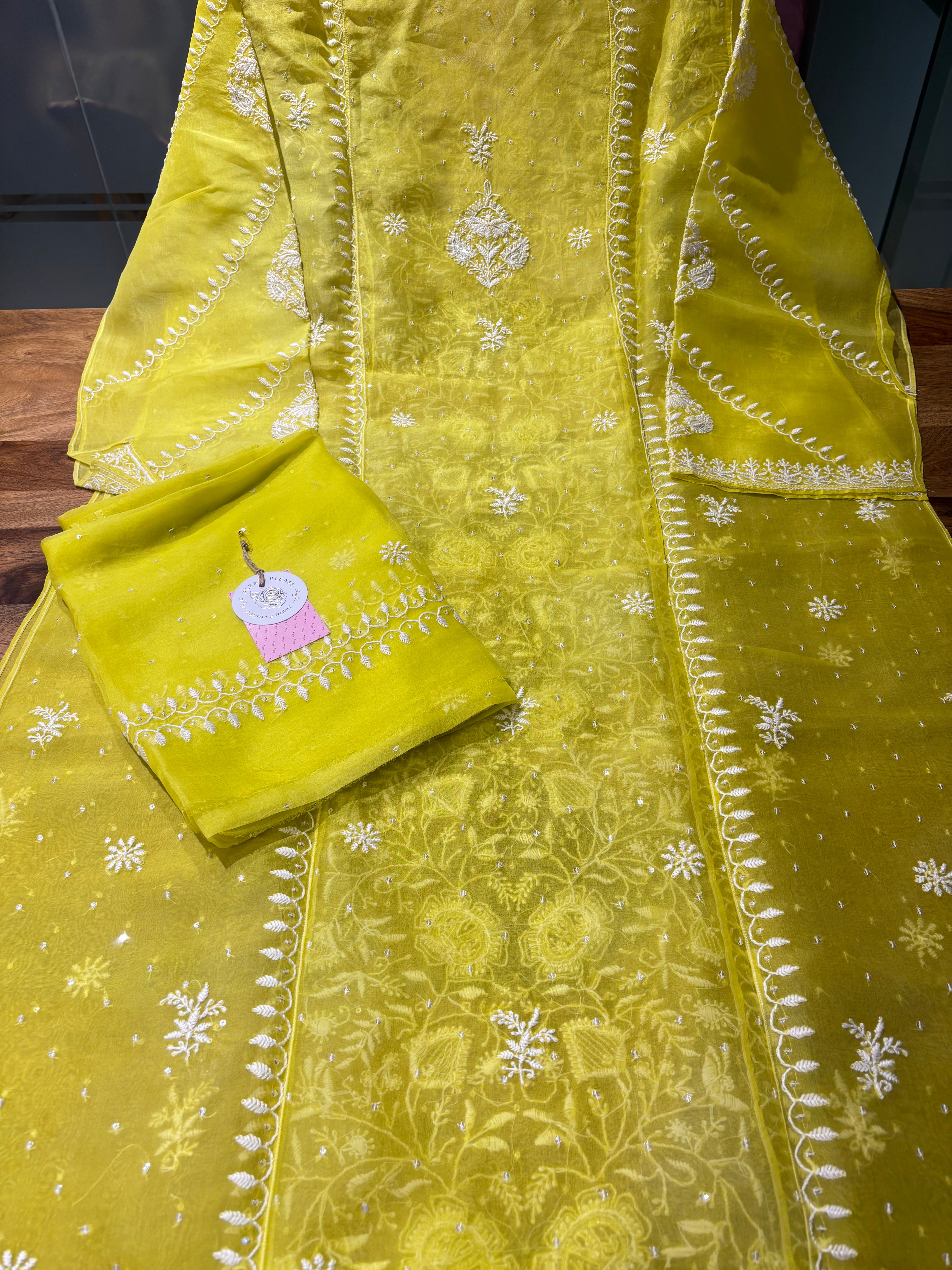 Neon Organza Silk Chikankari Kurta & Dupatta