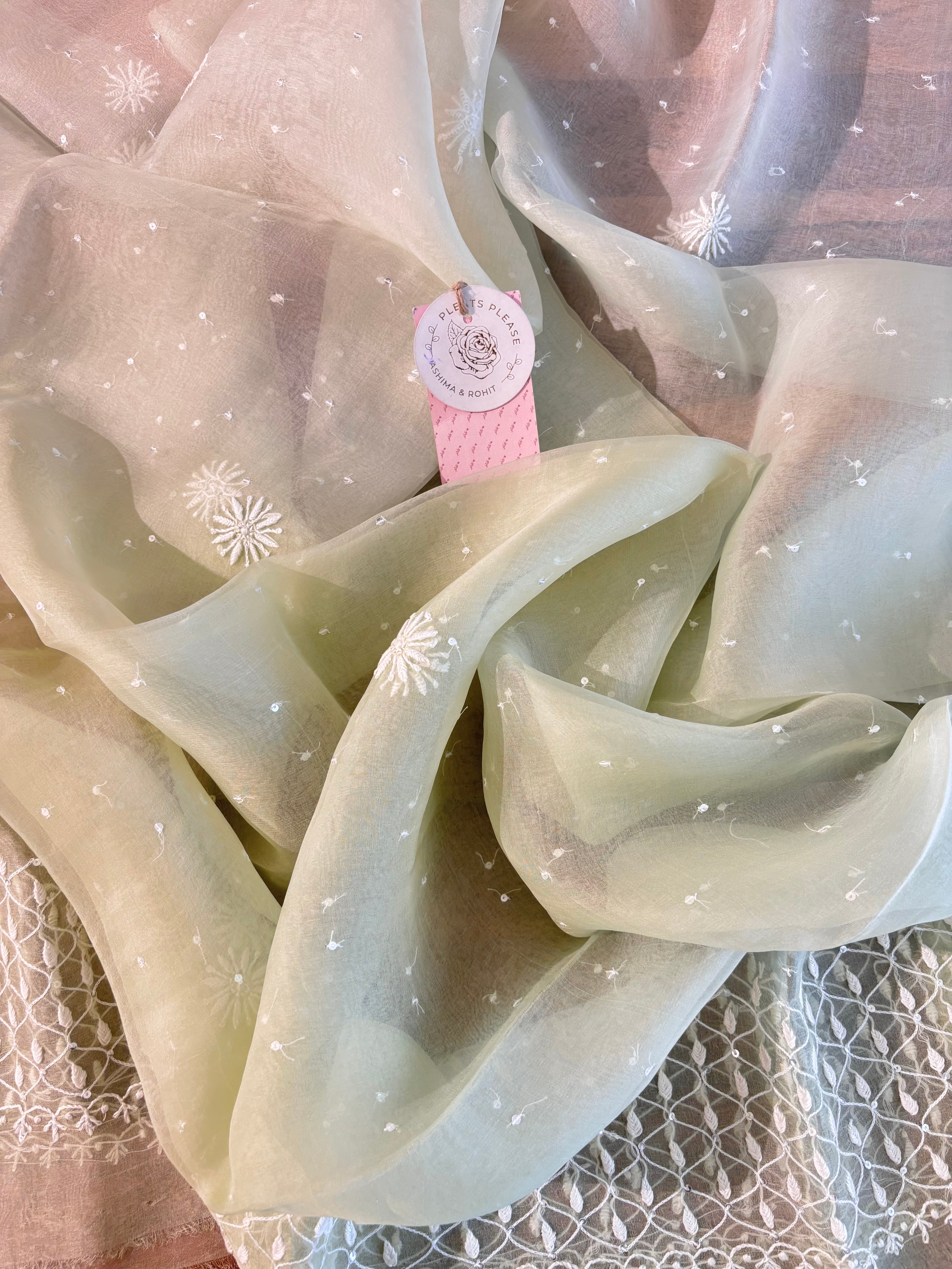 Pastel Sage Green Organza Chikankari Kurta & Dupatta