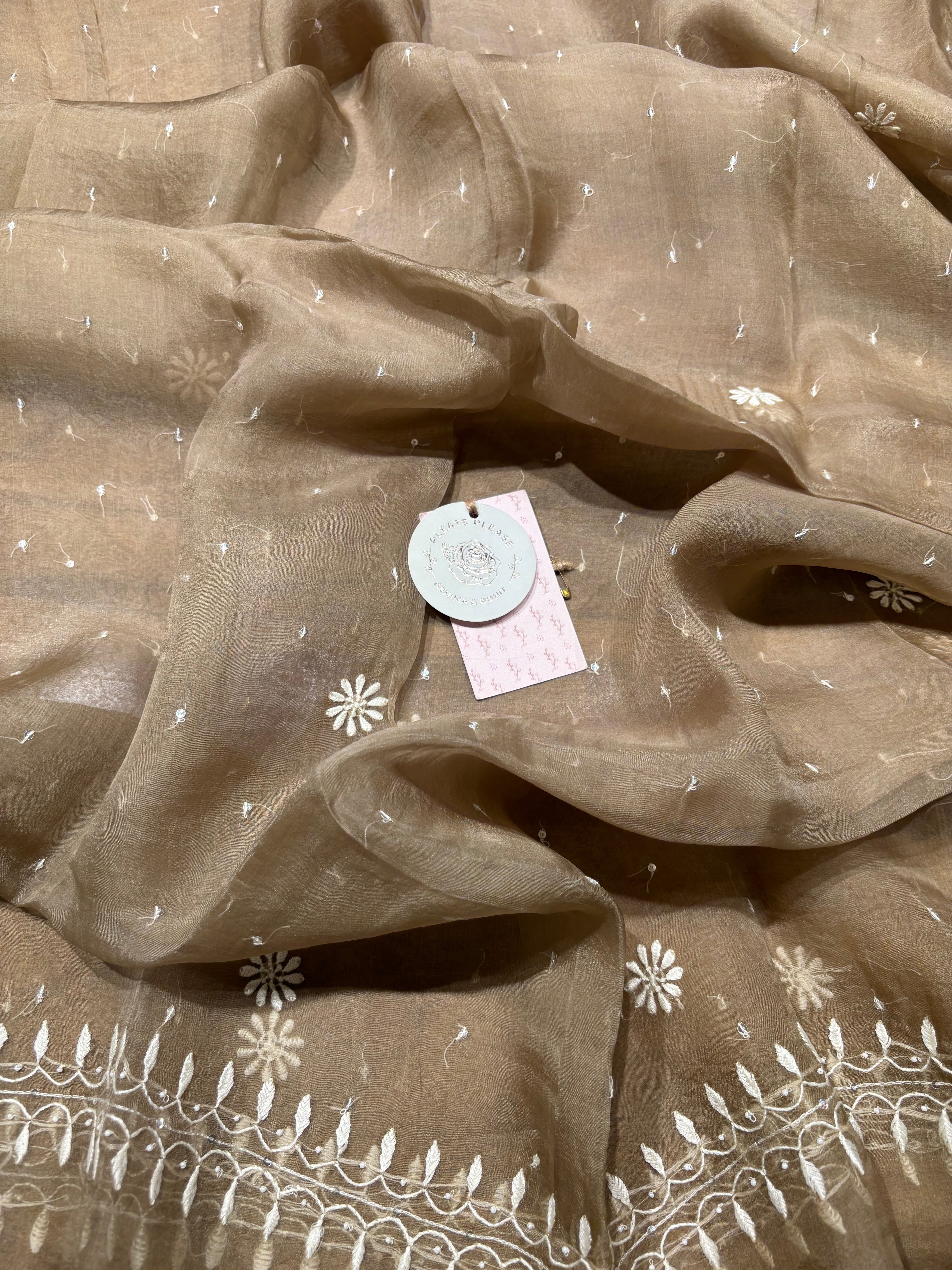 Brown Organza Chikankari Kurta and Dupatta set