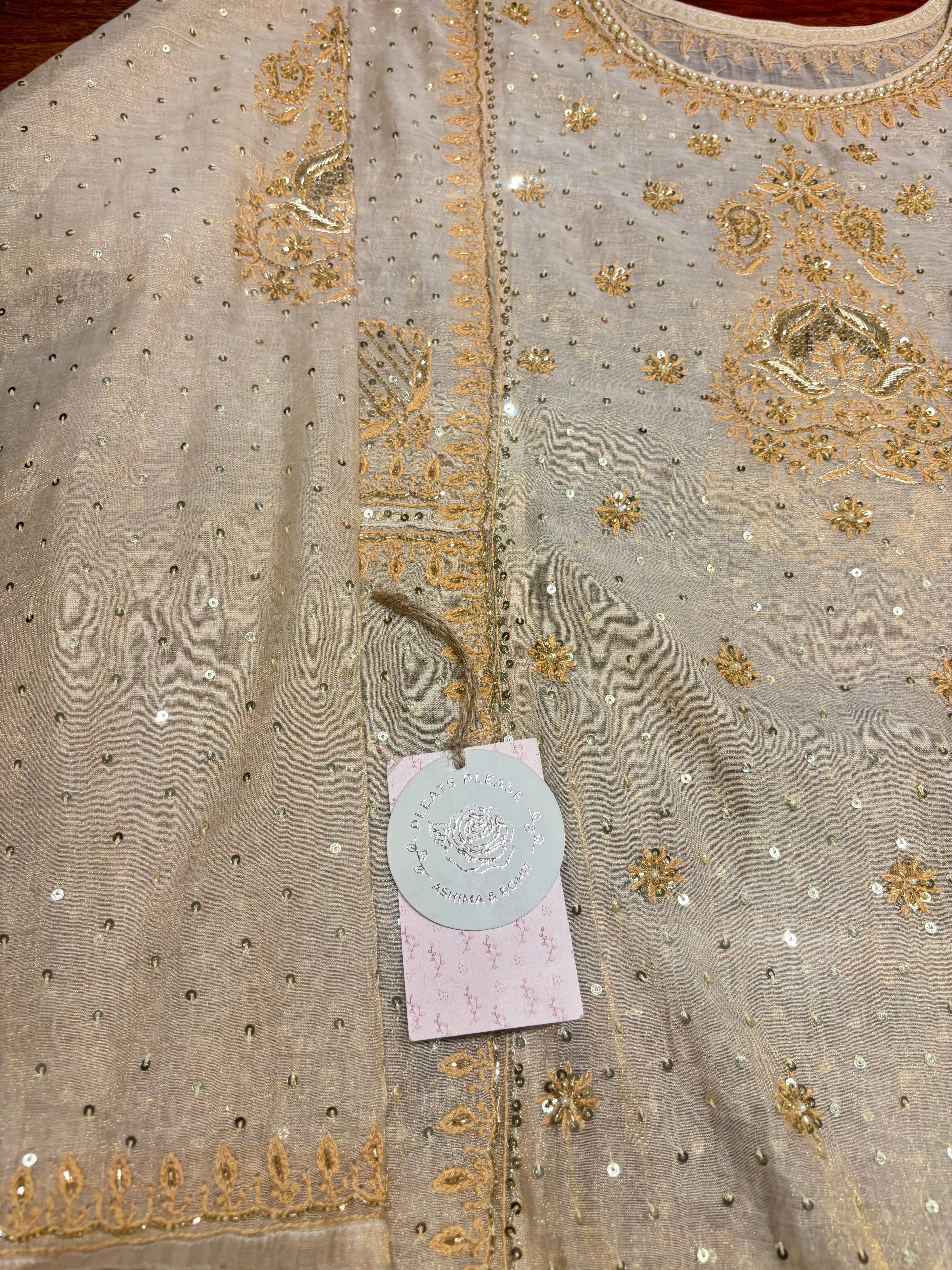 Dyeable Pure Gold Tissue Chikankari A-line Anarkali and Dupatta