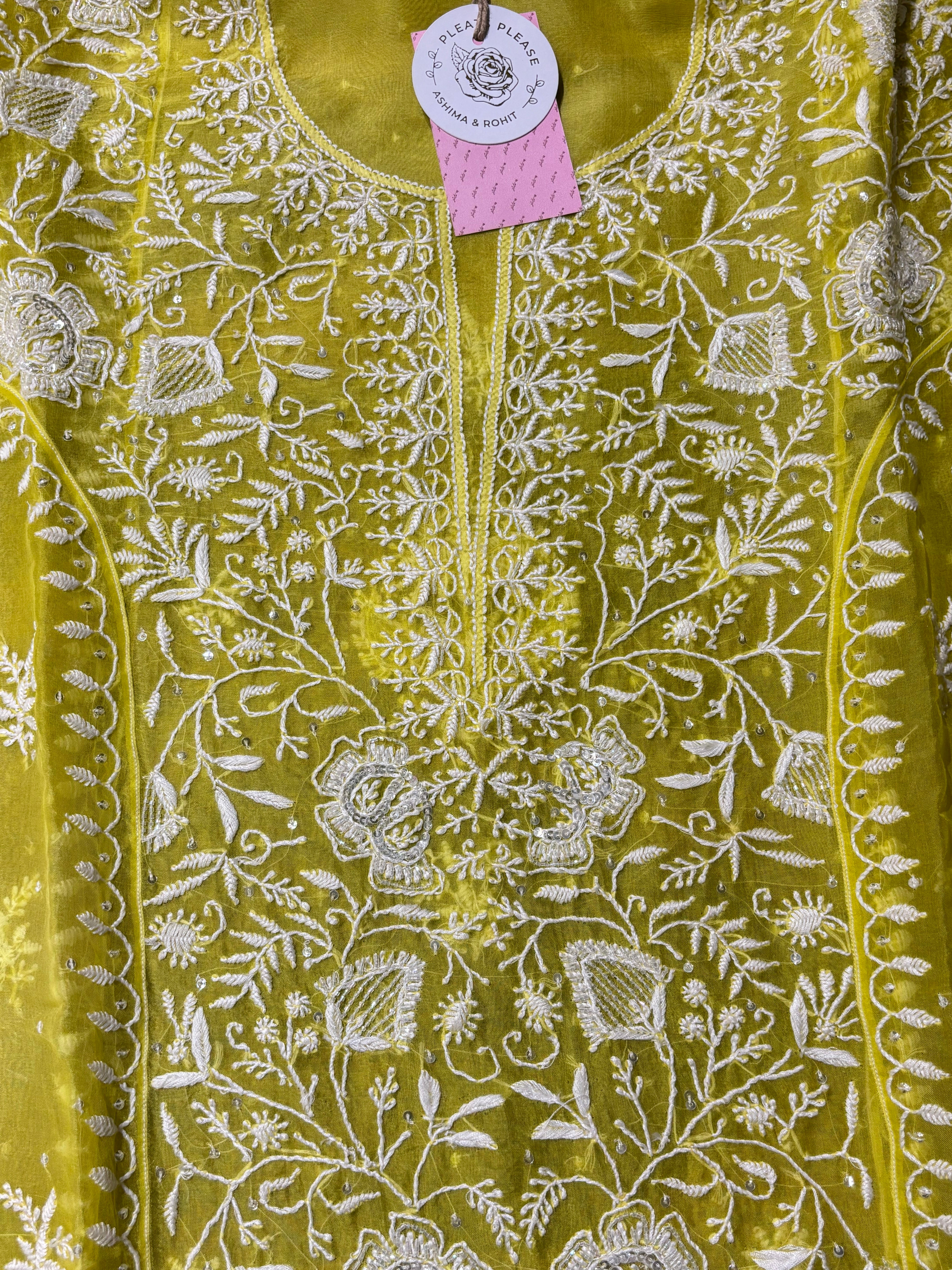 Neon Organza Silk Chikankari Kurta & Dupatta