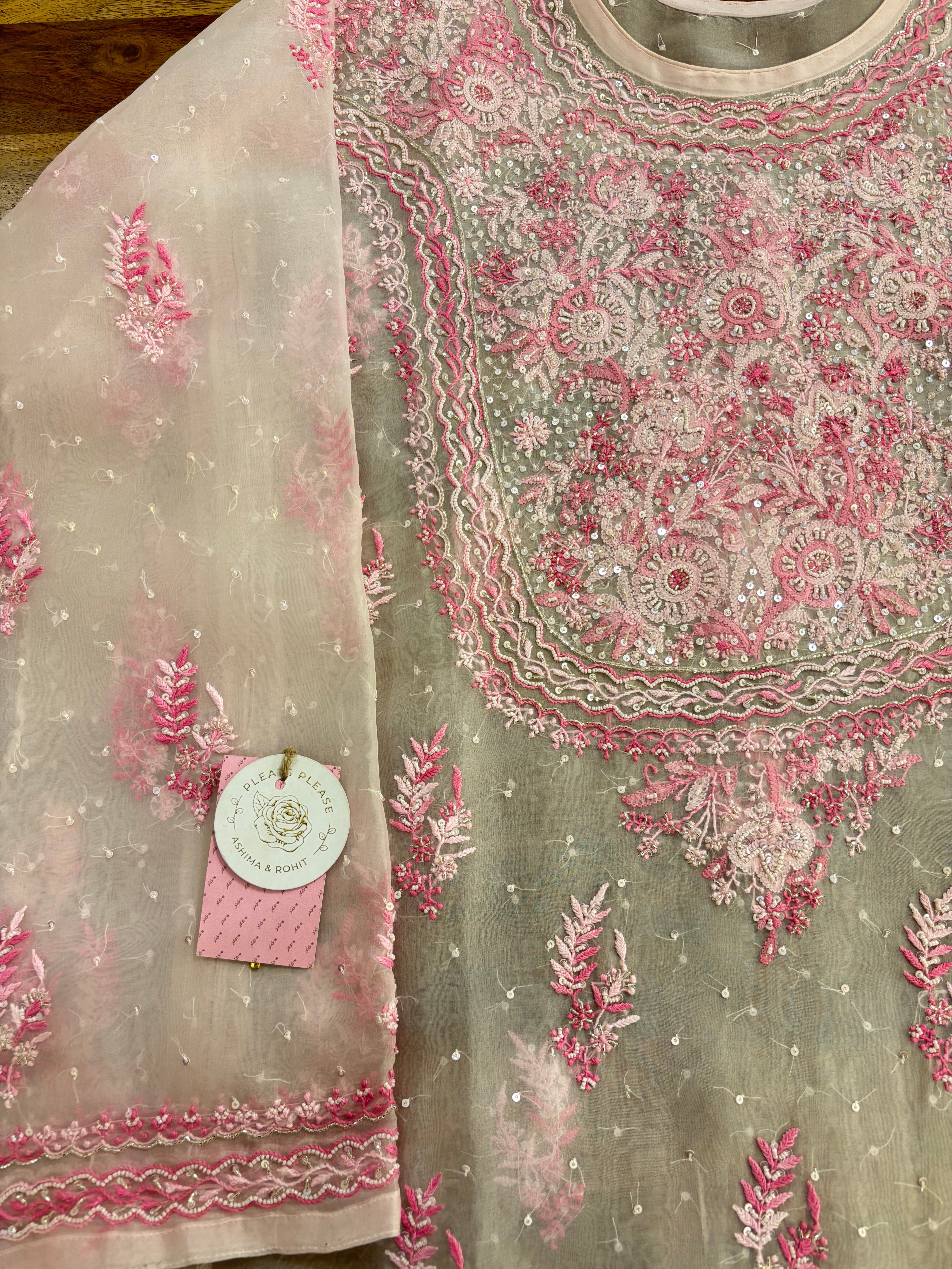 Baby Pink Organza Chikankari A-Line Kurta & Dupatta