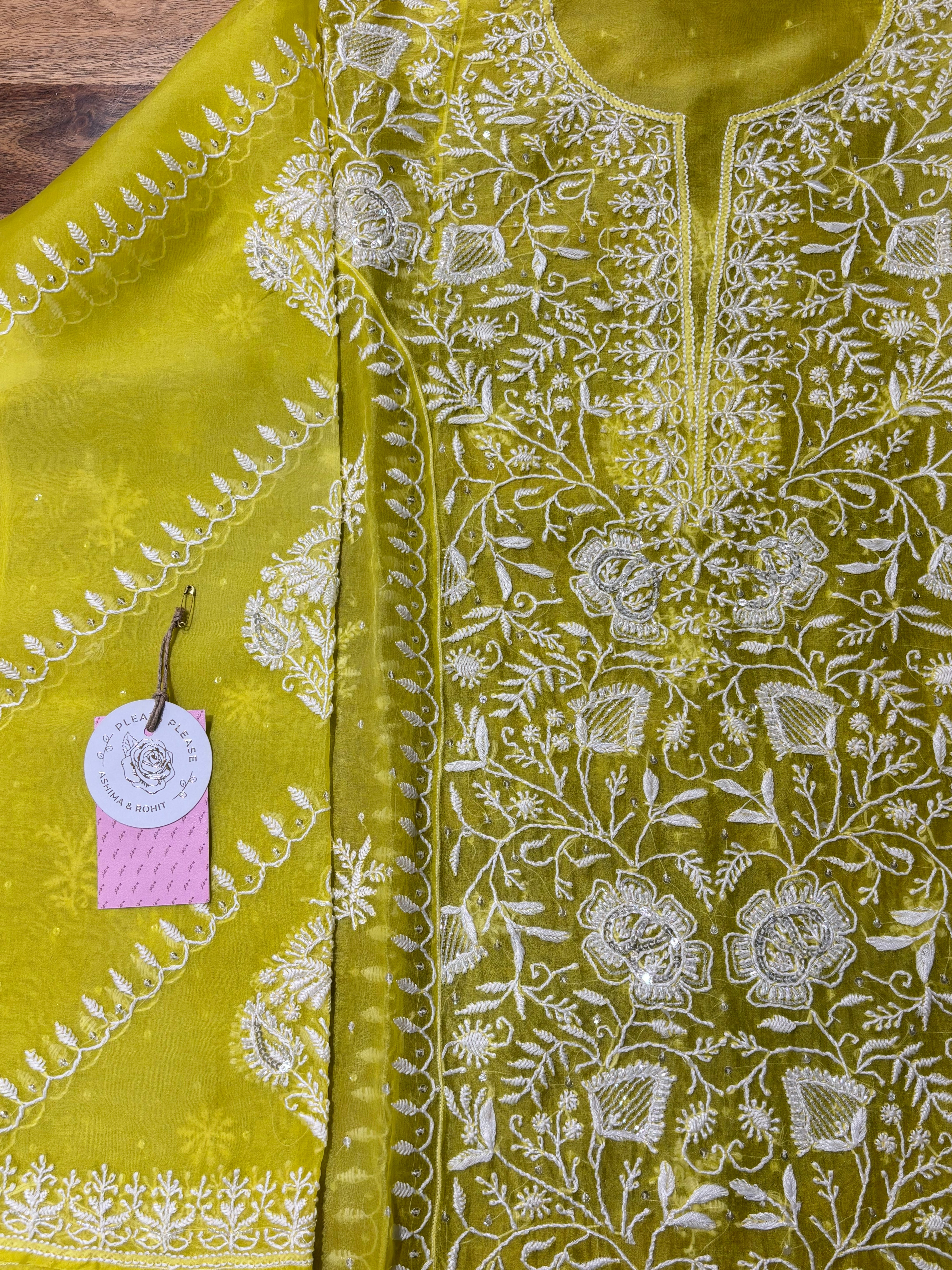 Neon Organza Silk Chikankari Kurta & Dupatta
