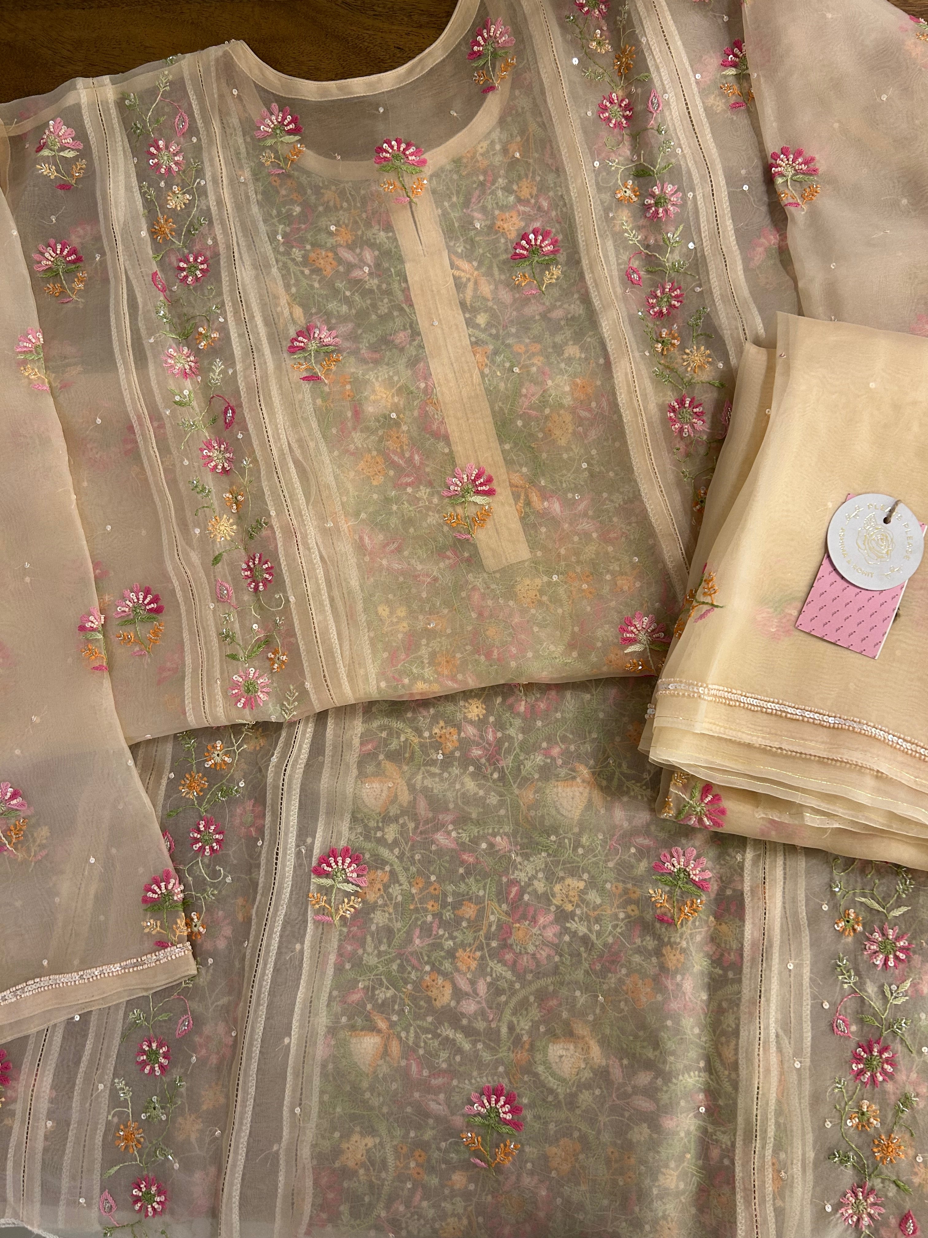 Blush Cream Pure Organza Chikankari Kurta & Dupatta