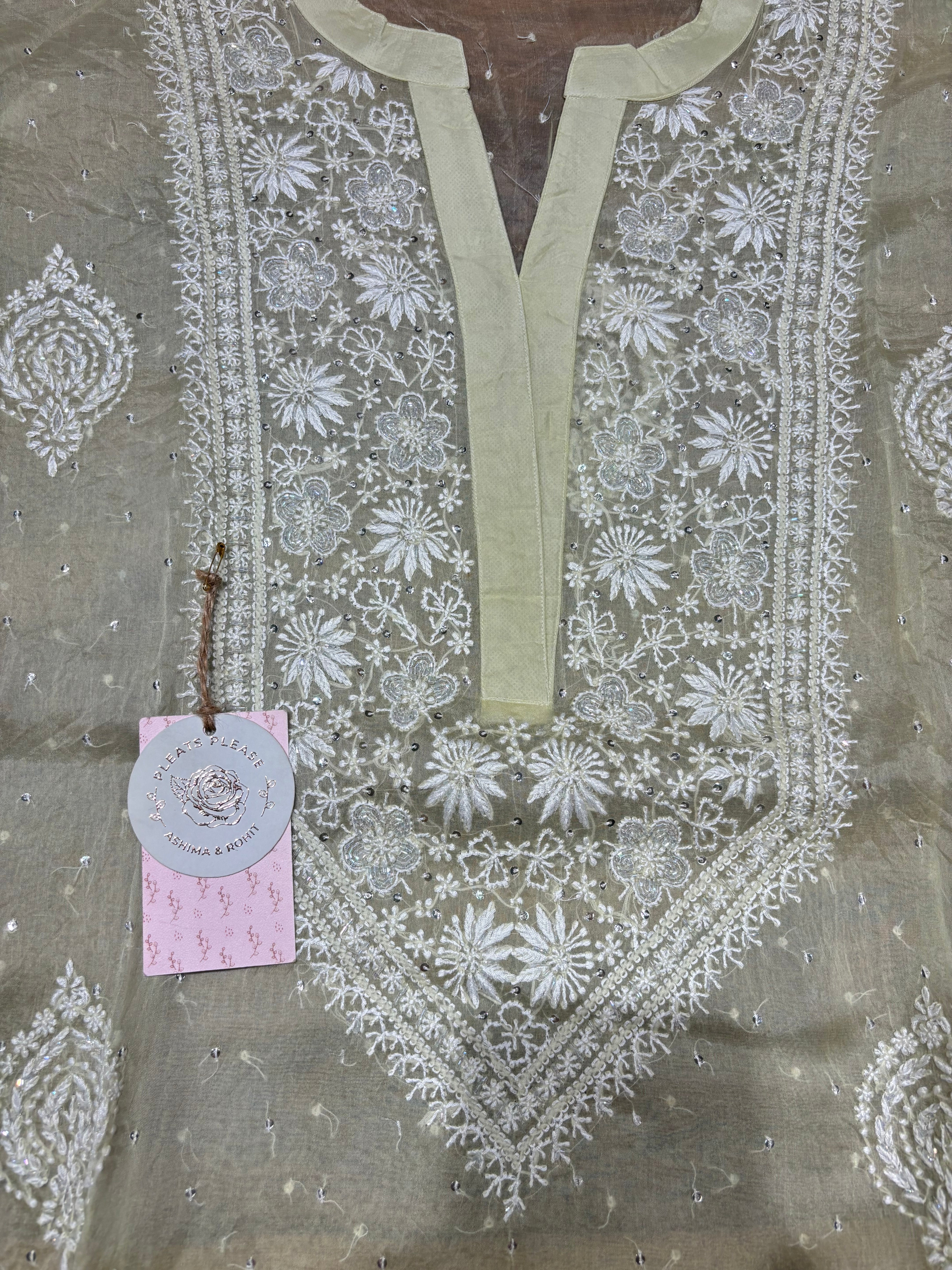 Pistachio Green Pure And Premium Organza Chikankari Co-ord Set