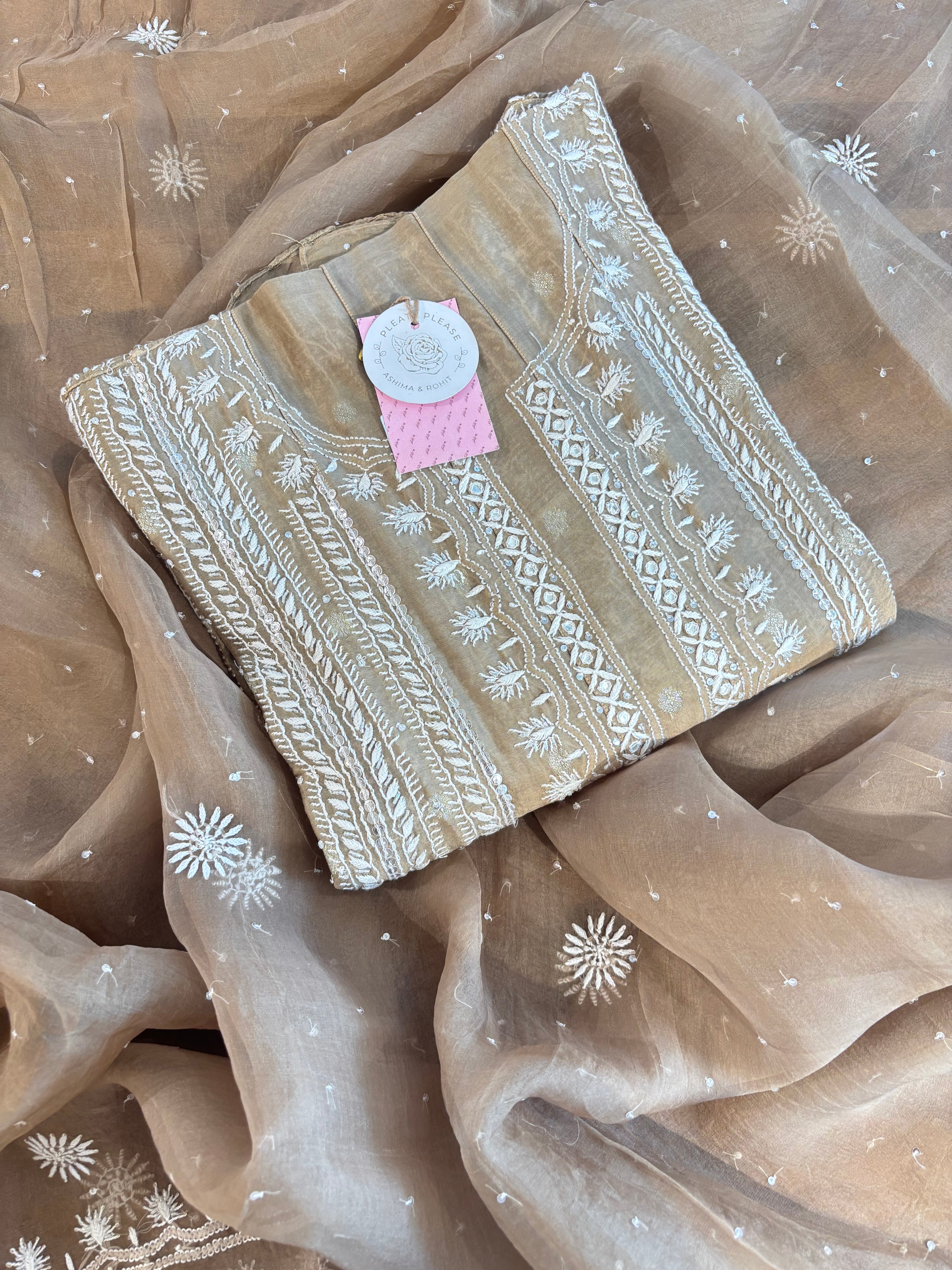 Brown Chanderi Chikankari Anarkali With Organza Dupatta