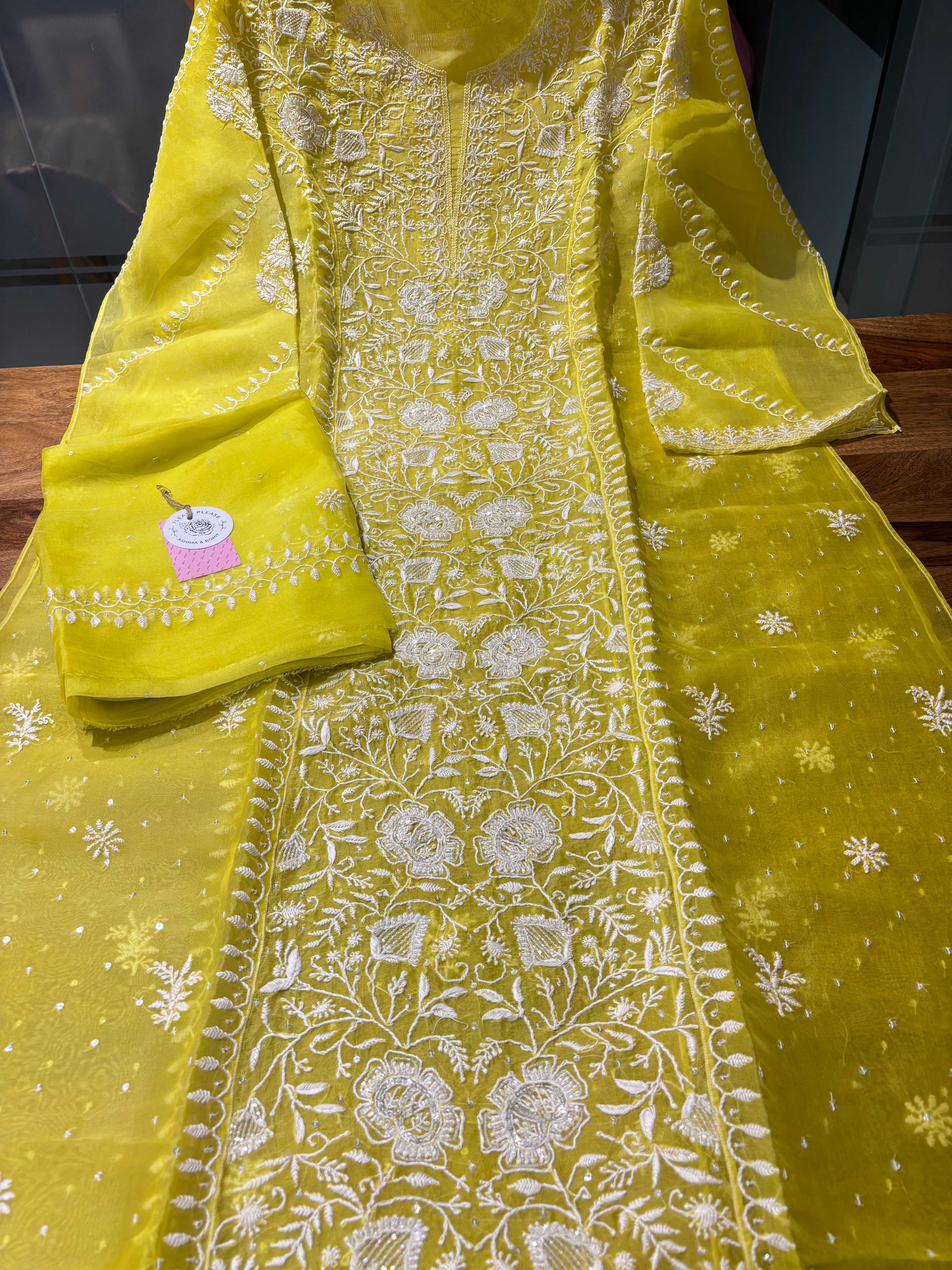 Neon Organza Silk Chikankari Kurta & Dupatta