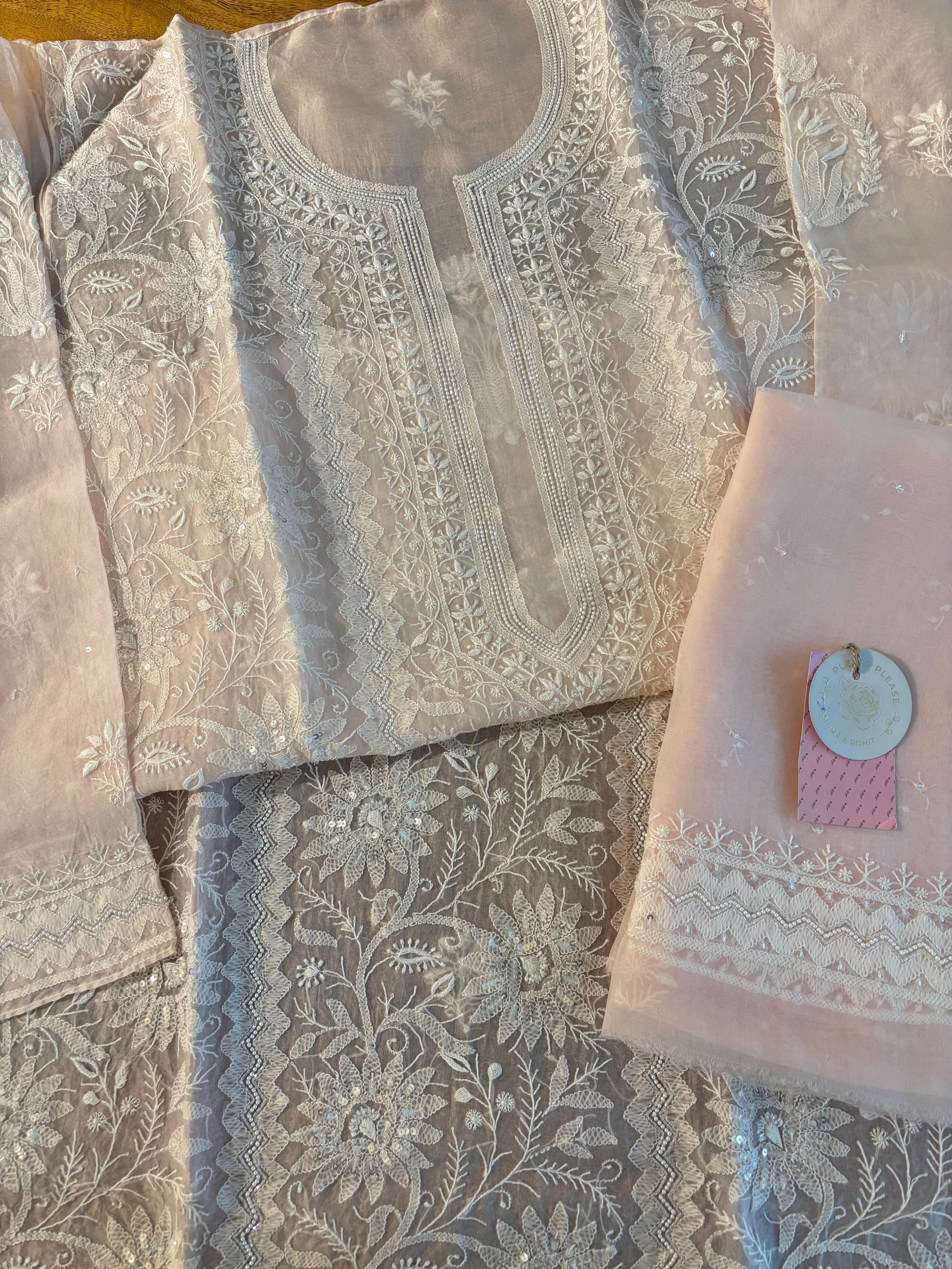 Baby pink Organza Silk Chikankari Kurta & Dupatta