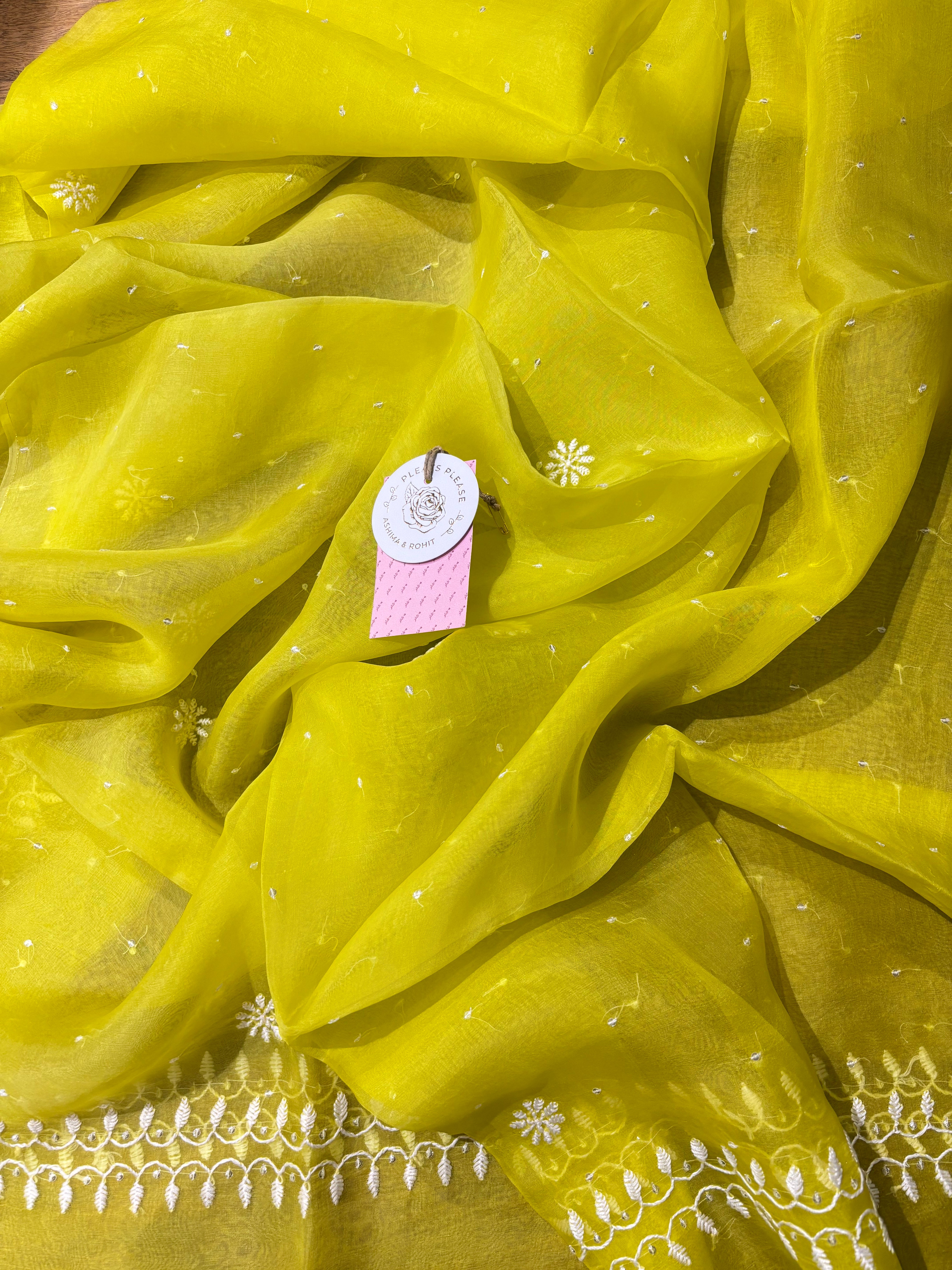 Neon Organza Silk Chikankari Kurta & Dupatta