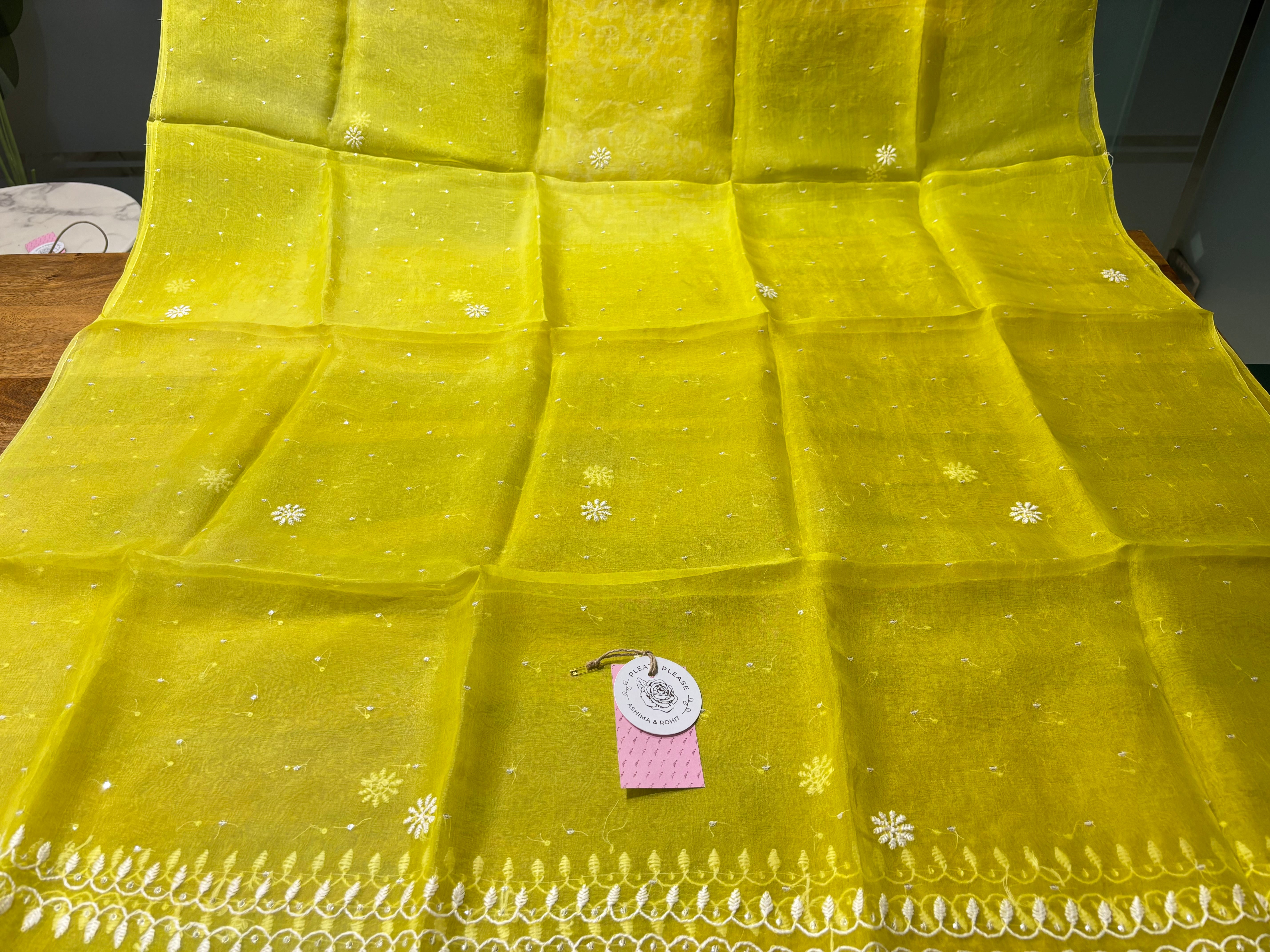 Neon Organza Silk Chikankari Kurta & Dupatta