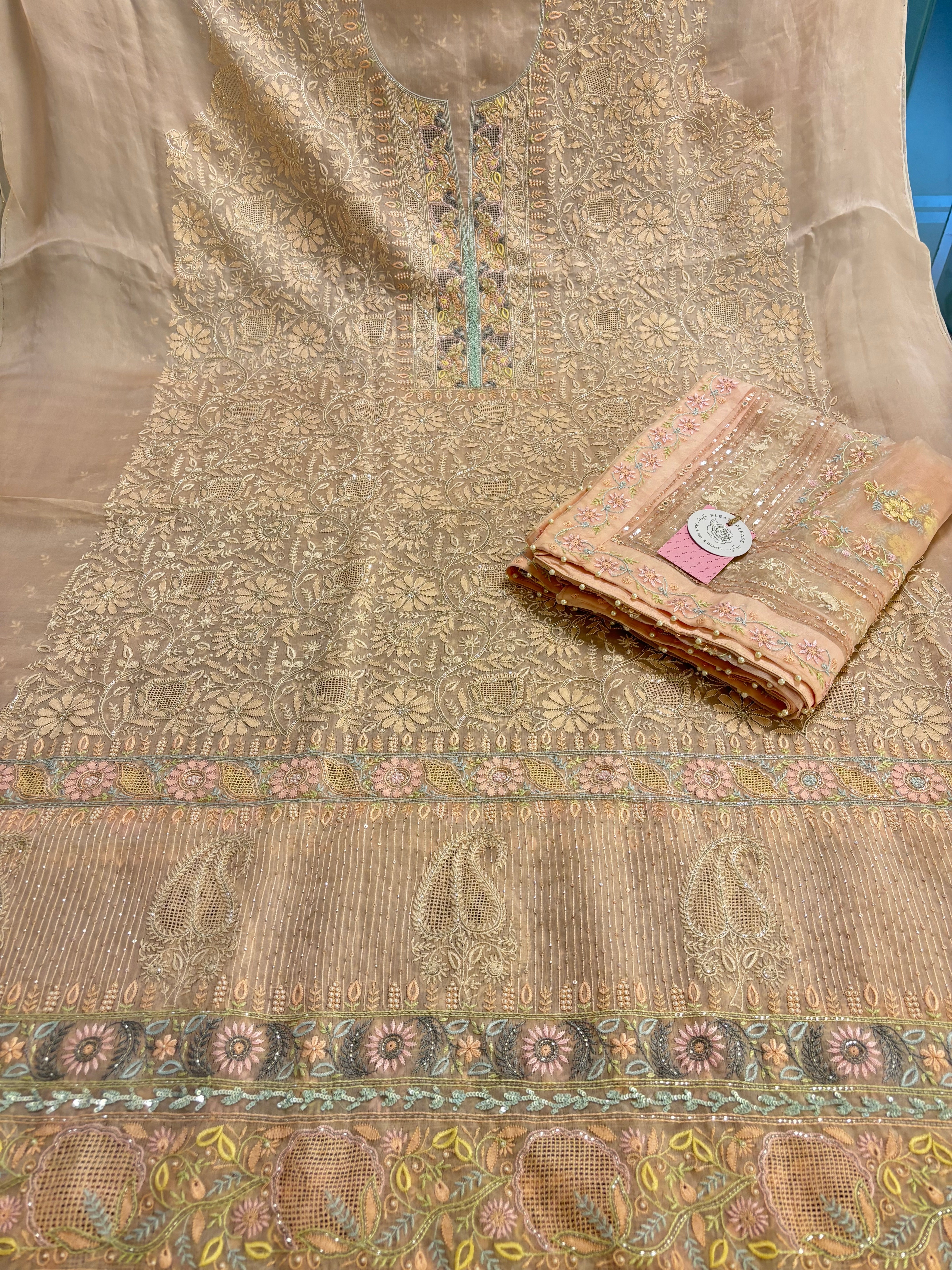Pastel Peach Organza Mirror Chikankari Kurta & Dupatta