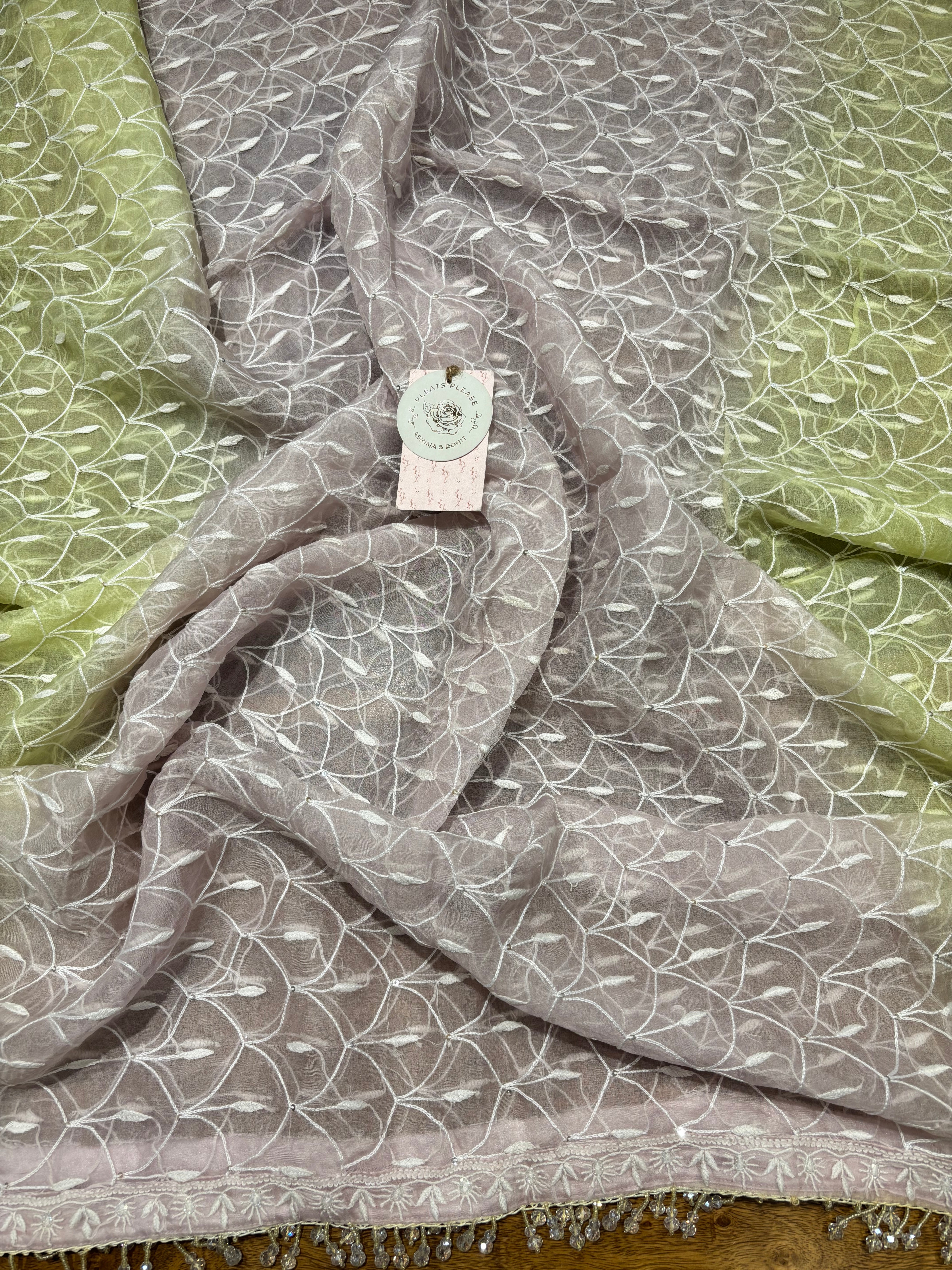 Green Organza Chikankari Anarkali & Dupatta Set