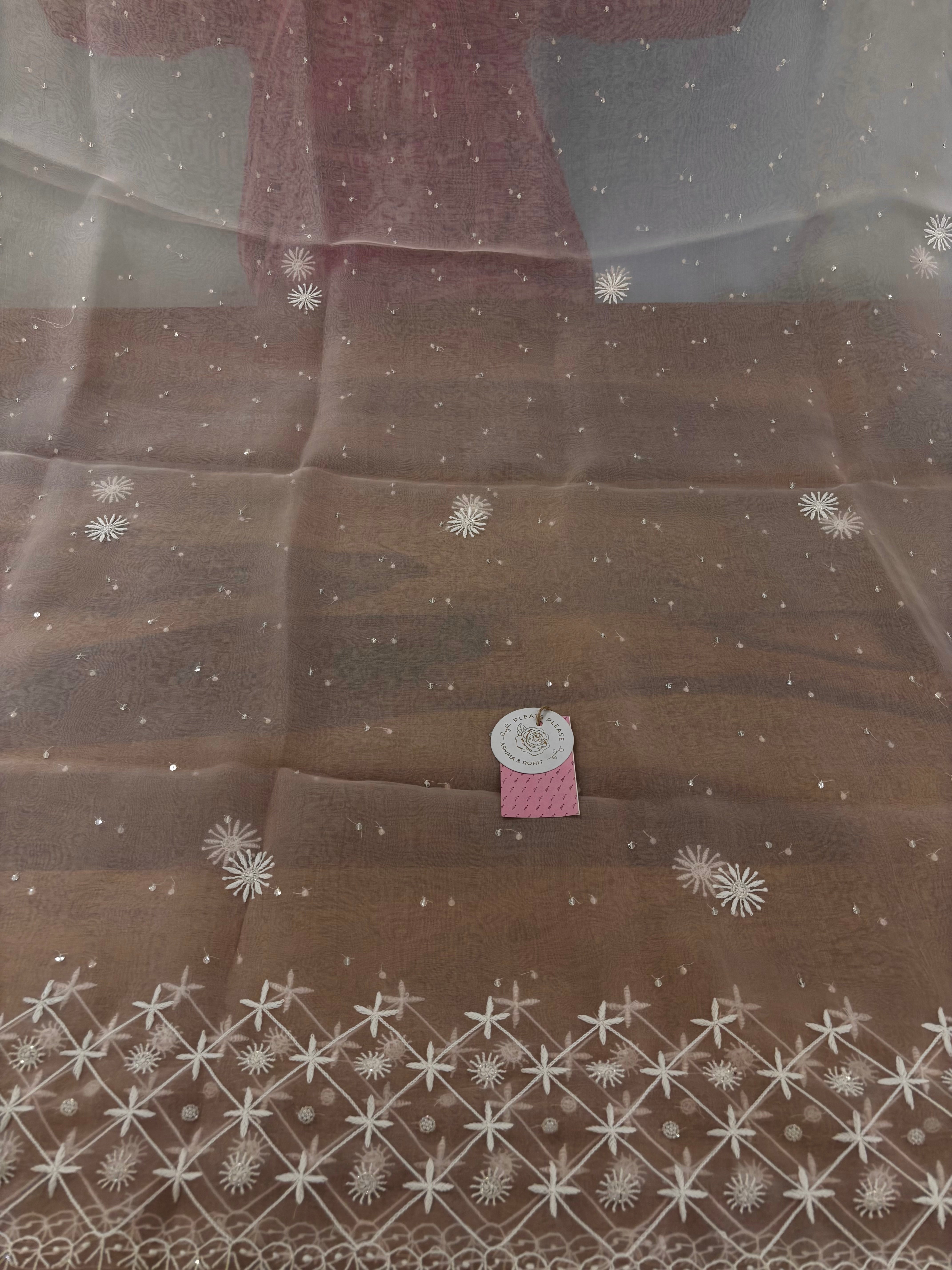 Baby Pink Pure Organza Chikankari Kurta & Dupatta - Pleats PleaseChikankari