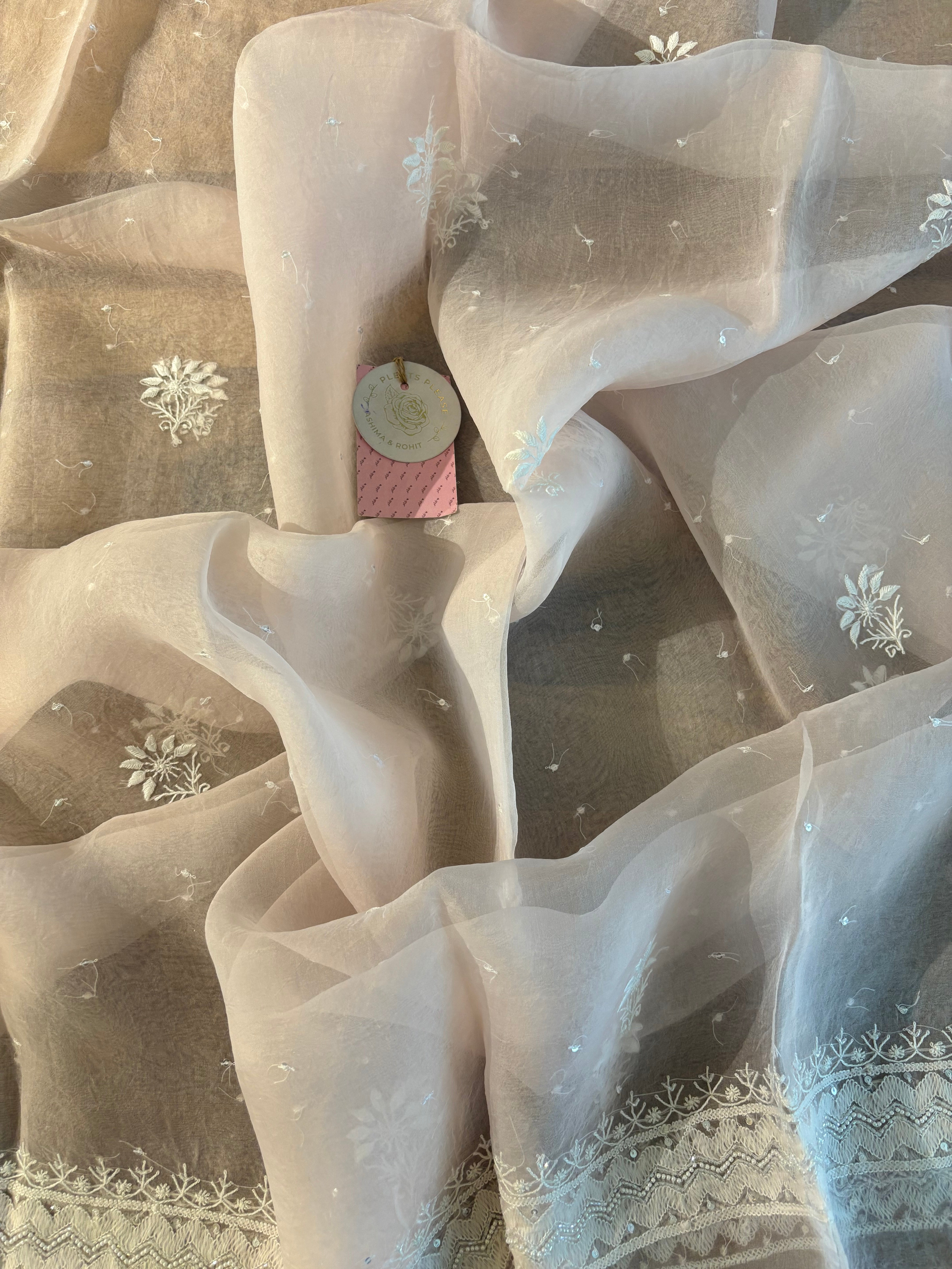 Baby pink Organza Silk Chikankari Kurta & Dupatta