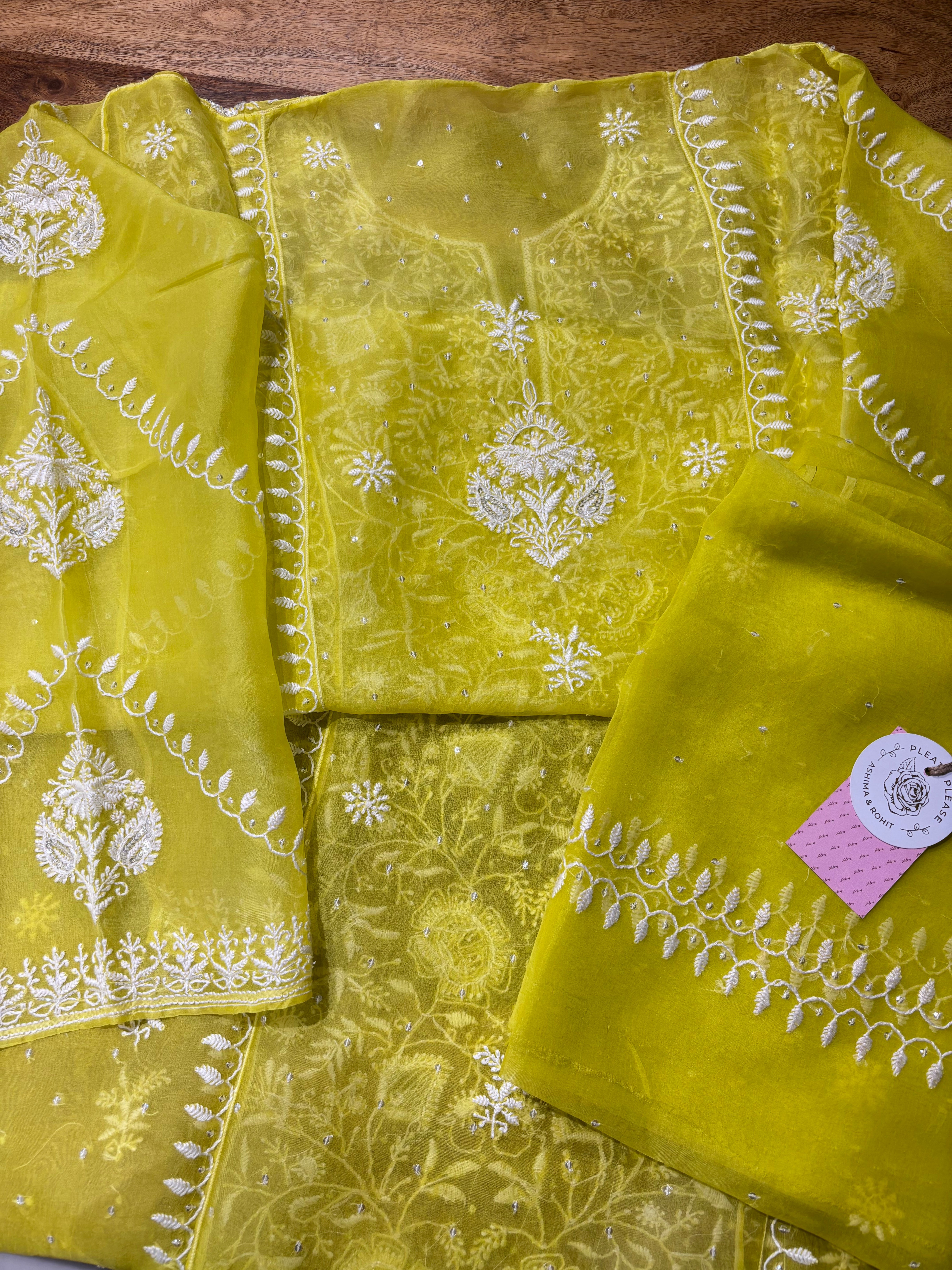 Neon Organza Silk Chikankari Kurta & Dupatta
