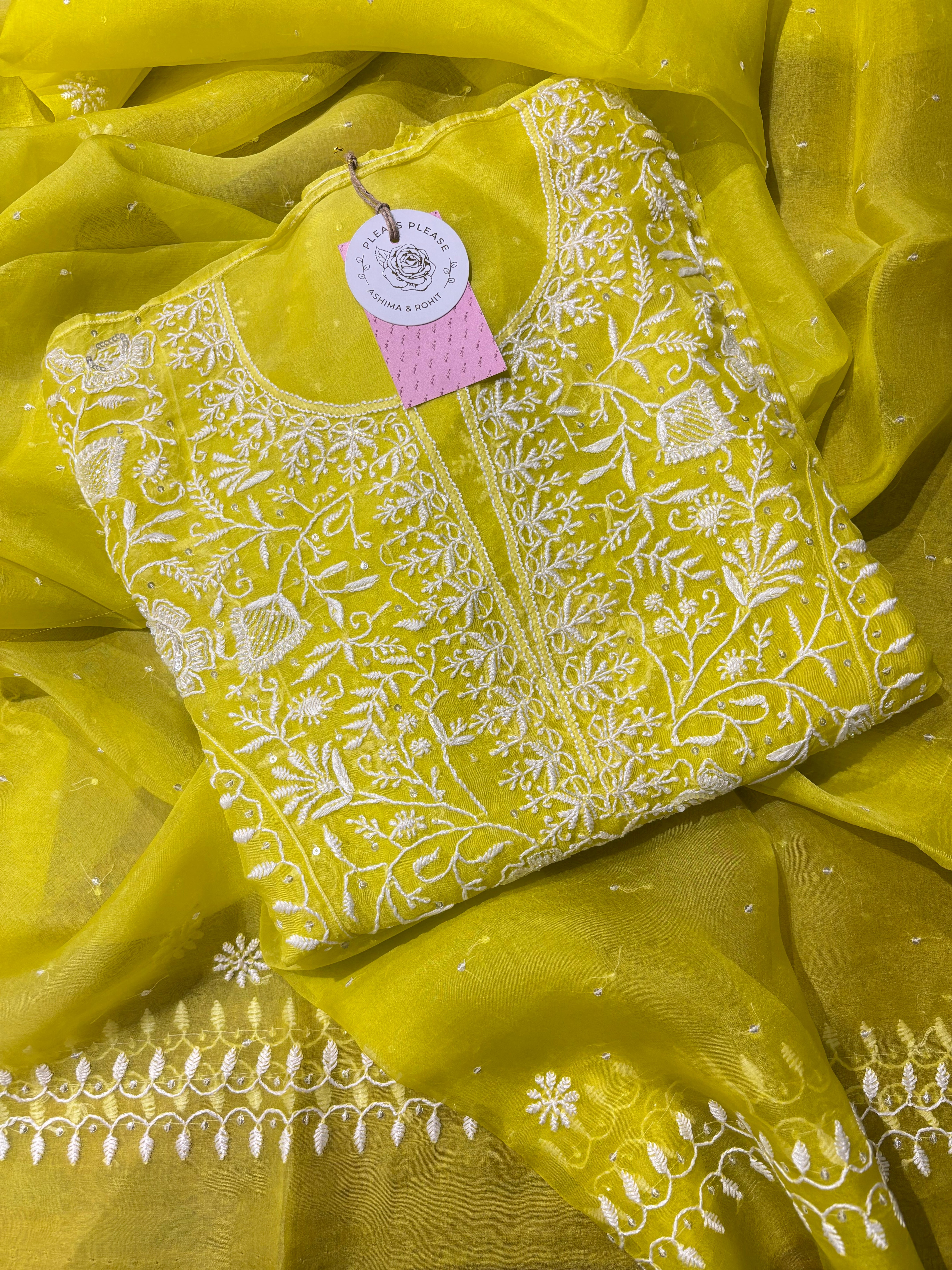Neon Organza Silk Chikankari Kurta & Dupatta