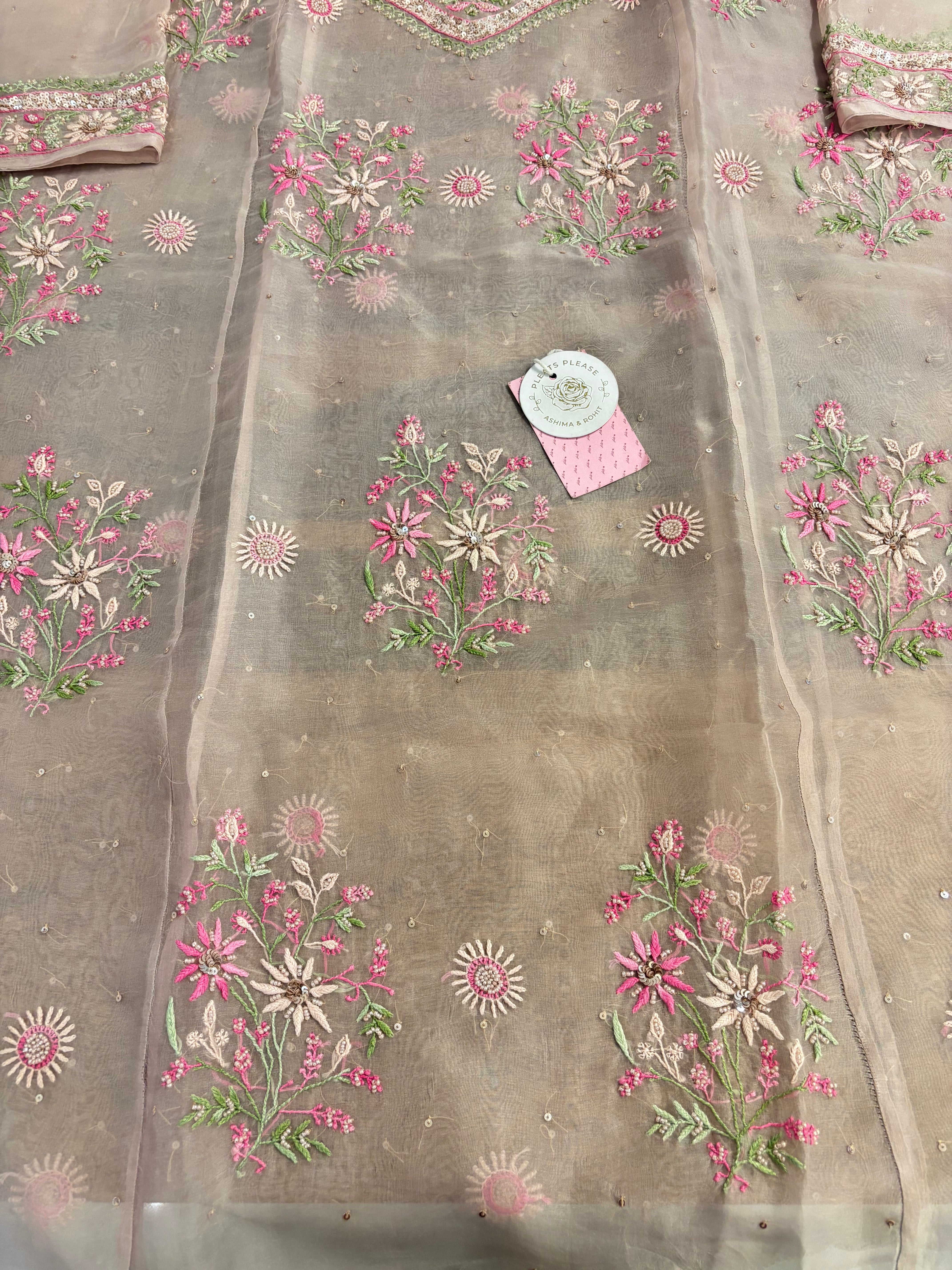 Blush Pink Pure Organza Silk Chikankari Kurta & Dupatta