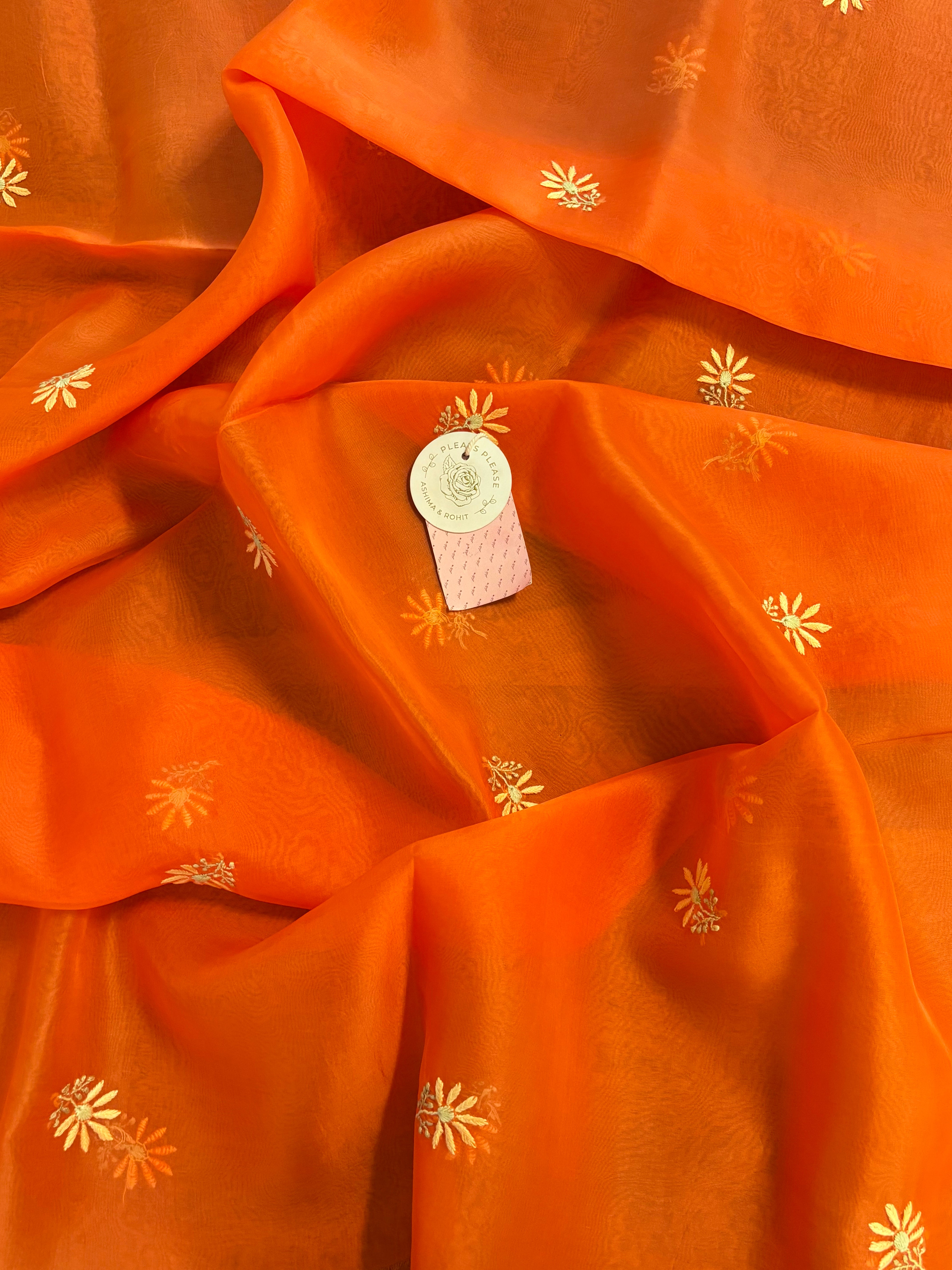 Burnt Orange Pure Organza Silk Chikankari Kurta & Dupatta