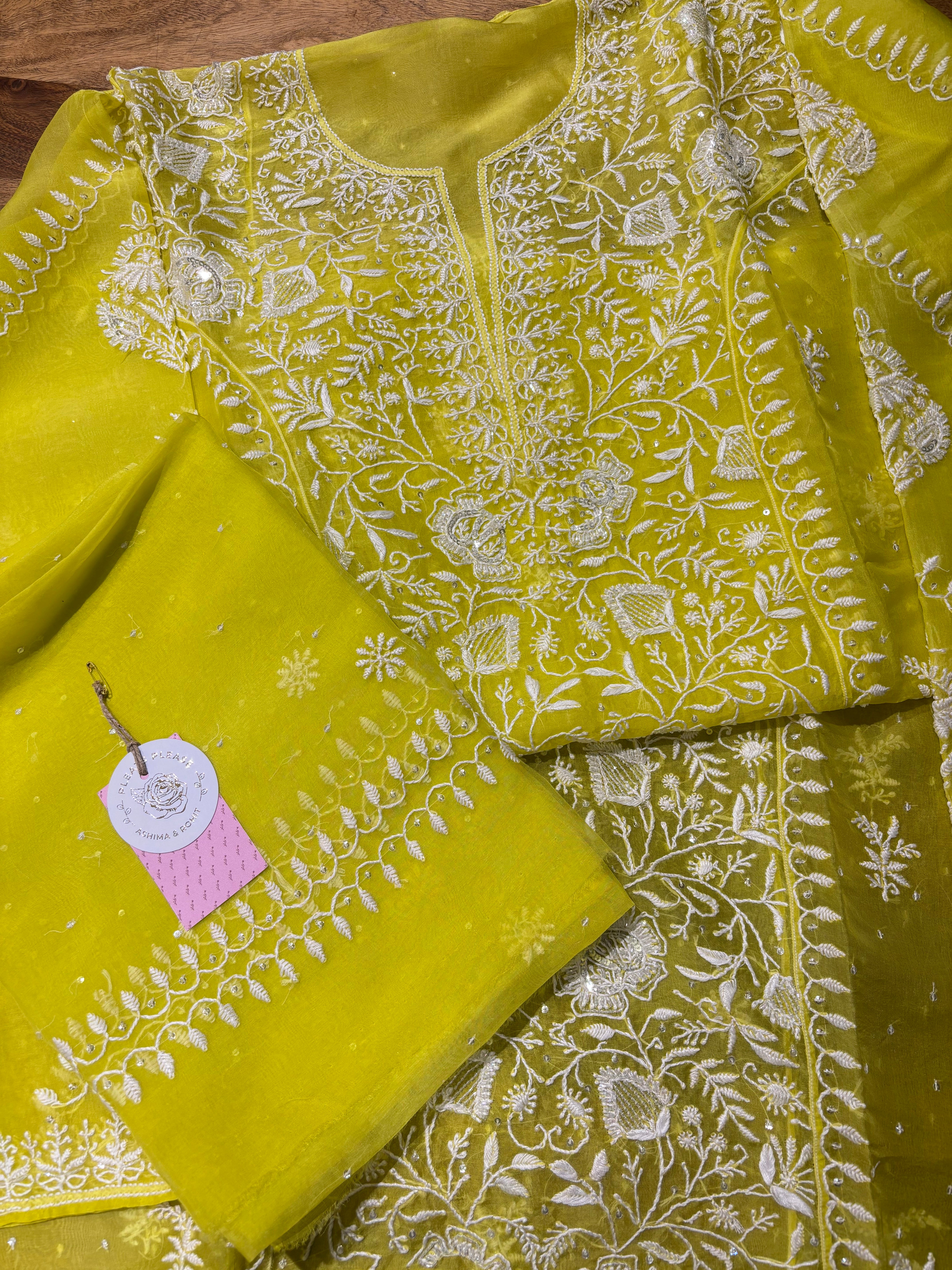 Neon Organza Silk Chikankari Kurta & Dupatta