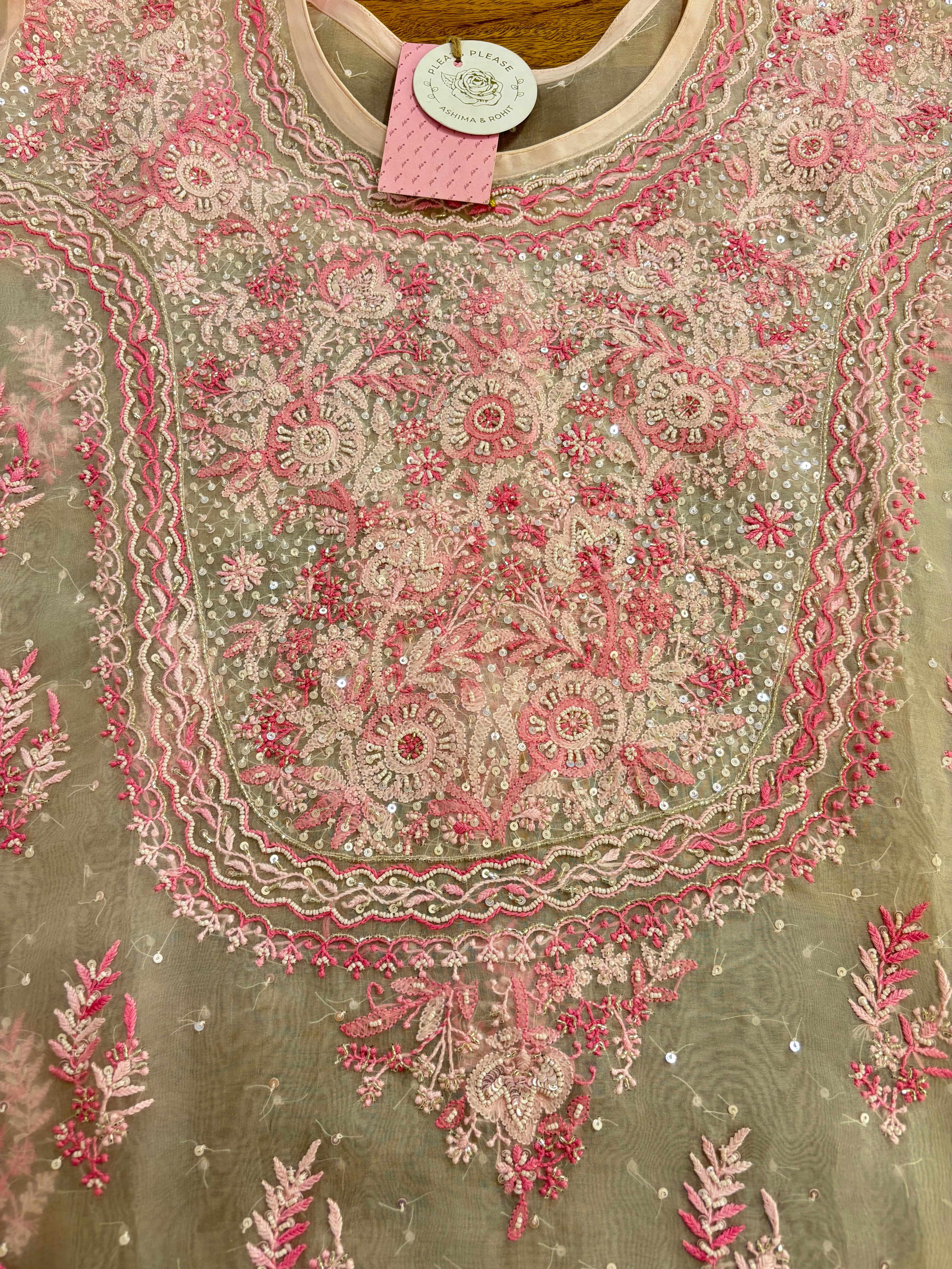 Baby Pink Organza Chikankari A-Line Kurta & Dupatta