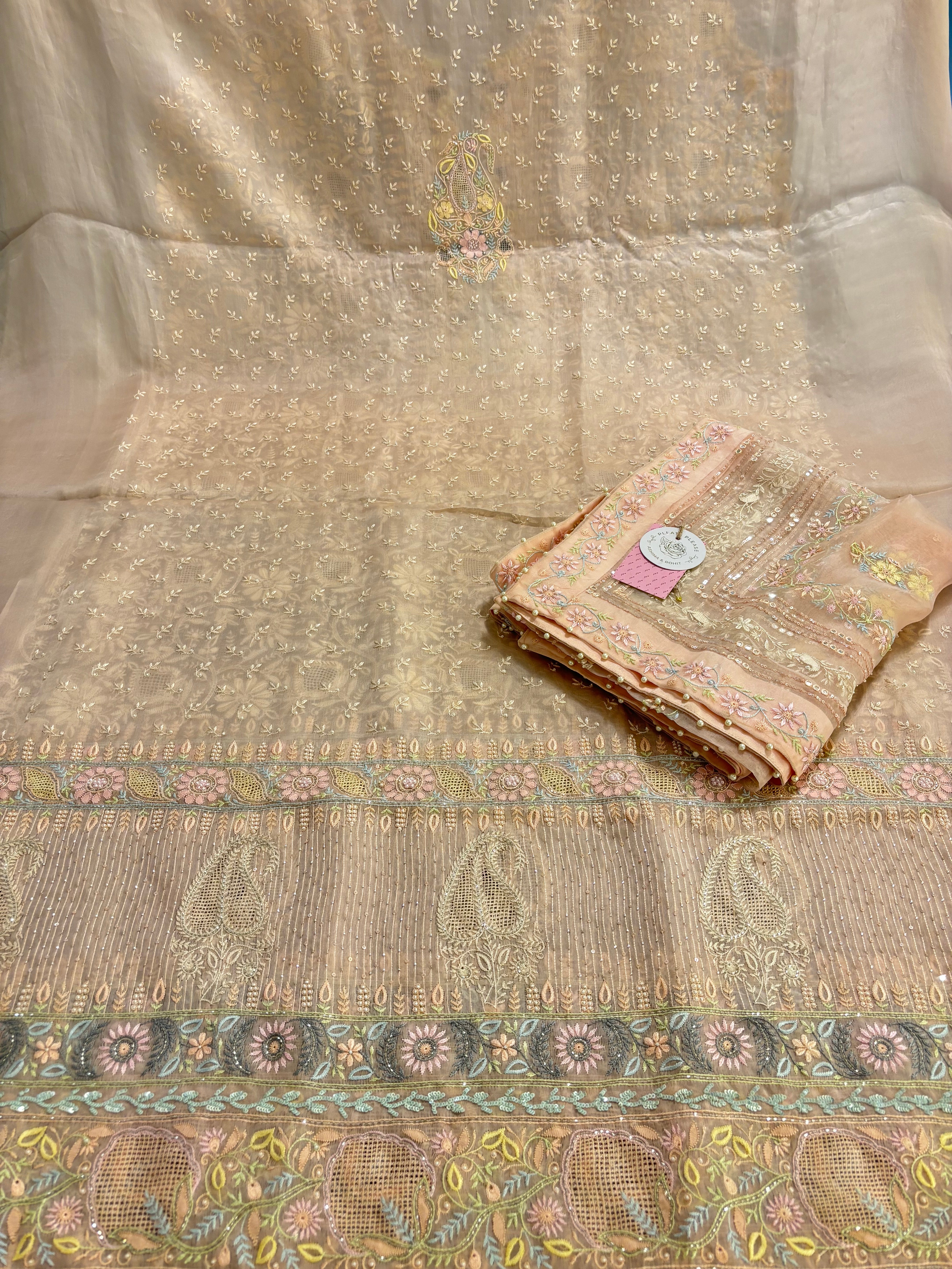 Pastel Peach Organza Mirror Chikankari Kurta & Dupatta