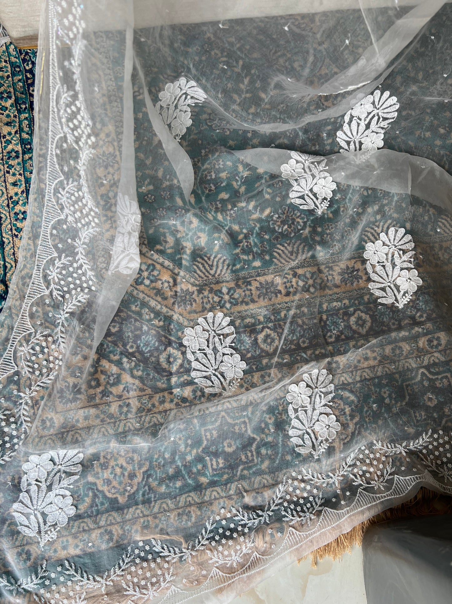 Dyeable Organza Silk Chikankari Saree and Blouse