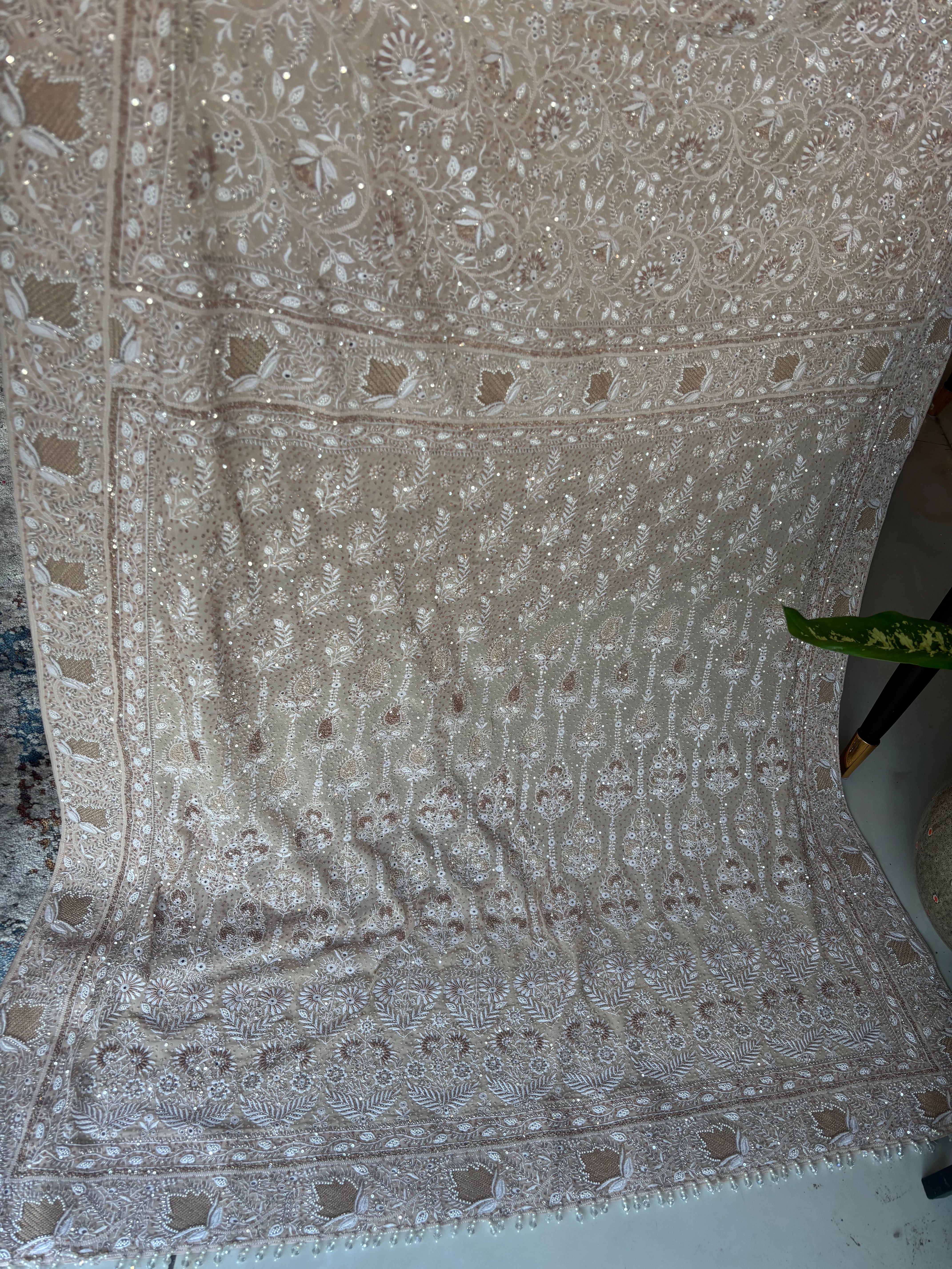 Almond Frost Pure And Premium Georgette Chikankari Saree And Blouse