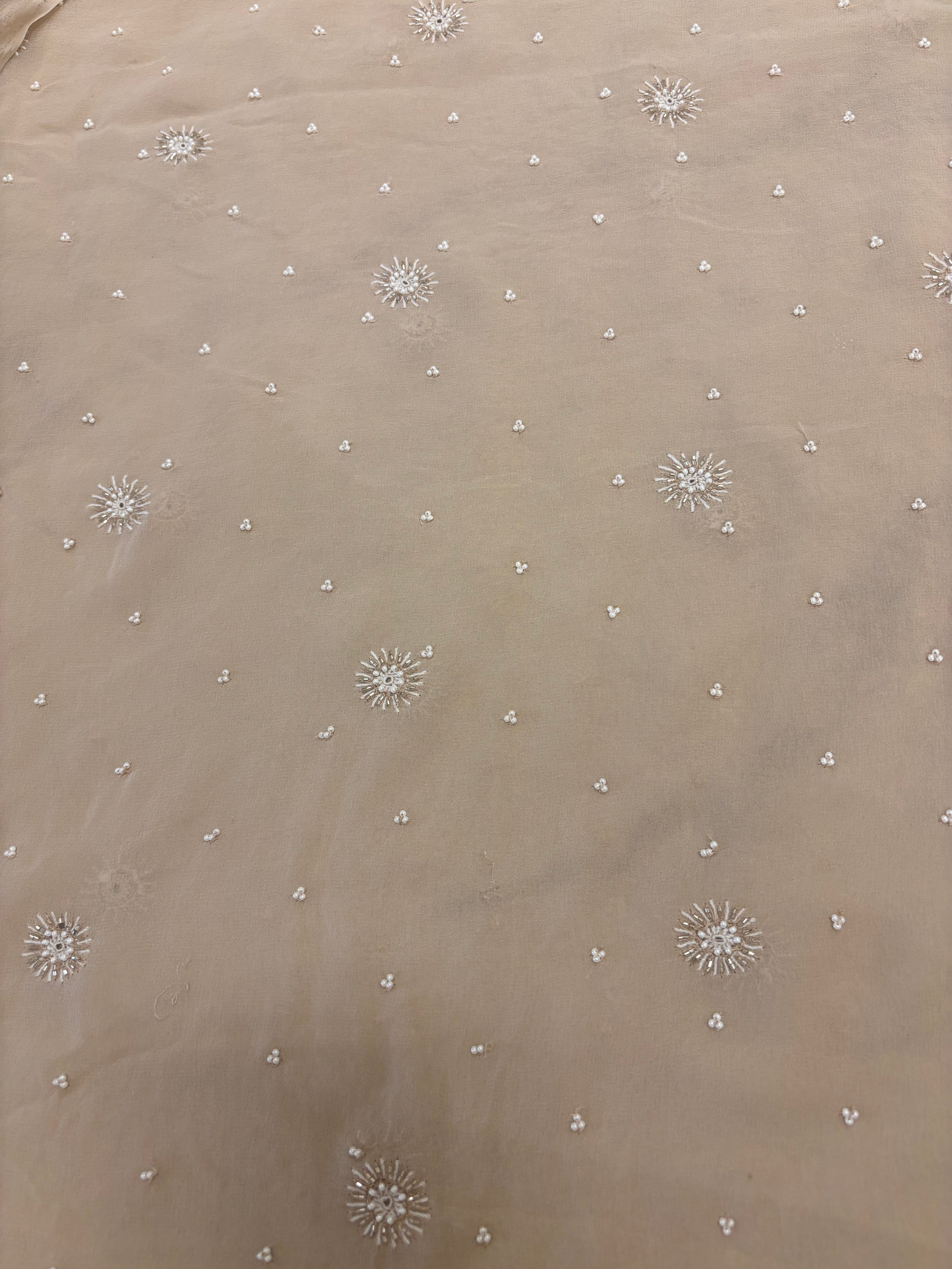 Almond Frost Pure And Premium Georgette Chikankari Saree And Blouse