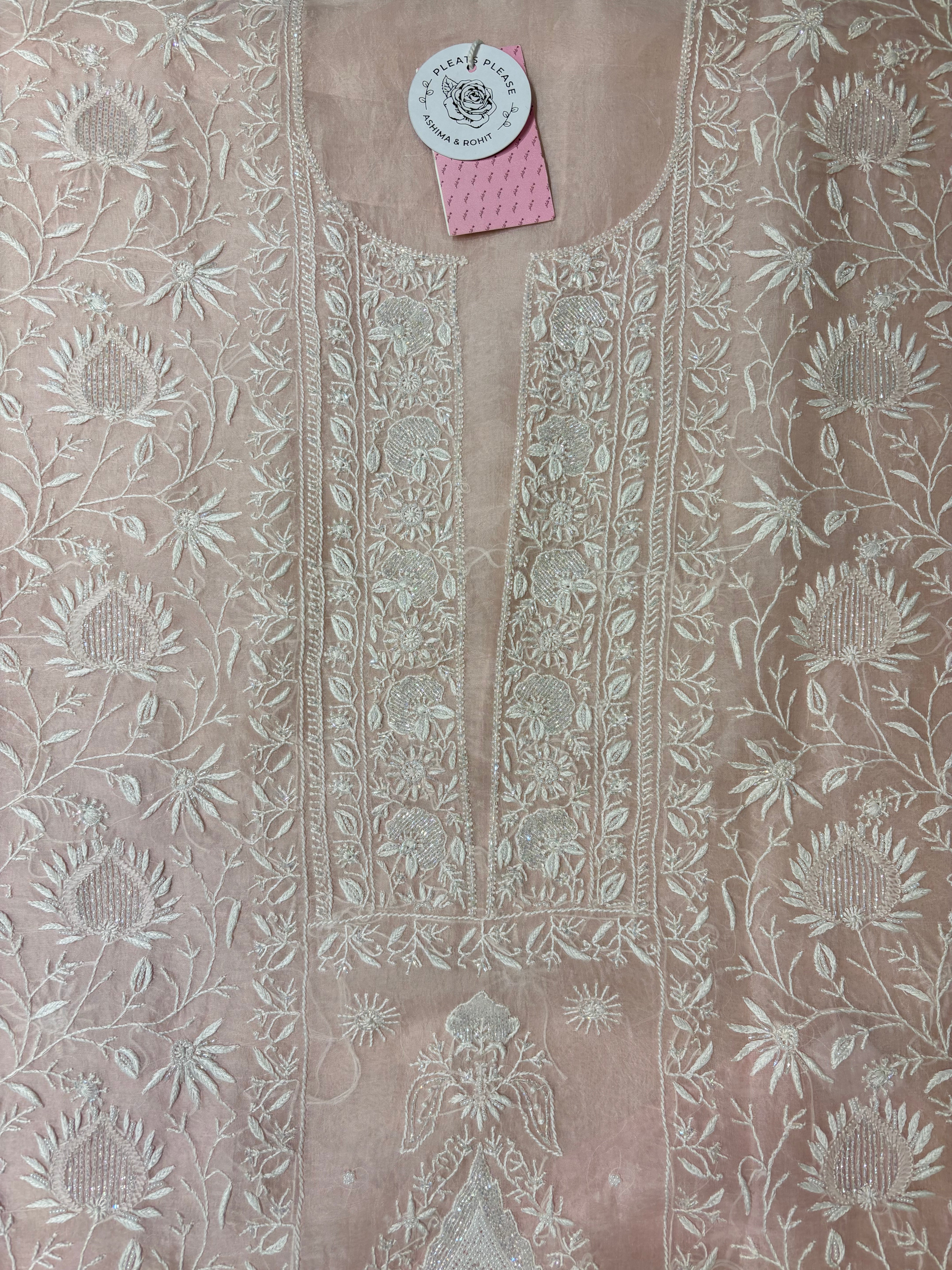 Blush Pink Pure Organza Silk Chikankari Kurta & Dupatta - Pleats PleaseChikankari