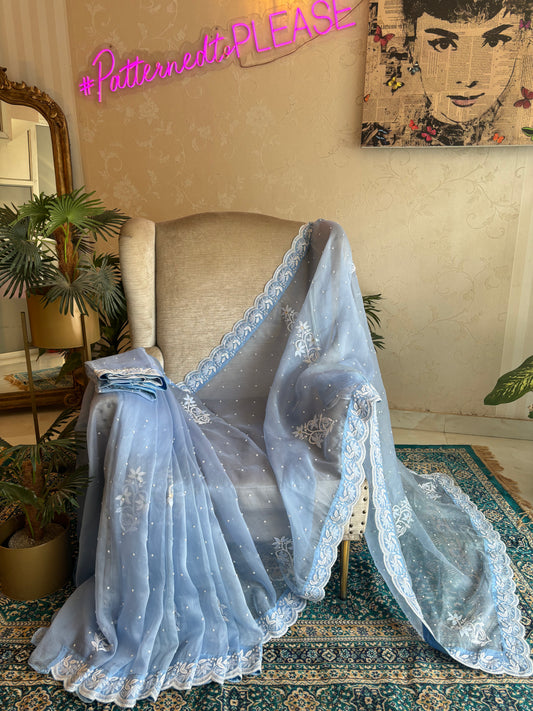 Sky Blue Organza Chikankari Saree and Blouse