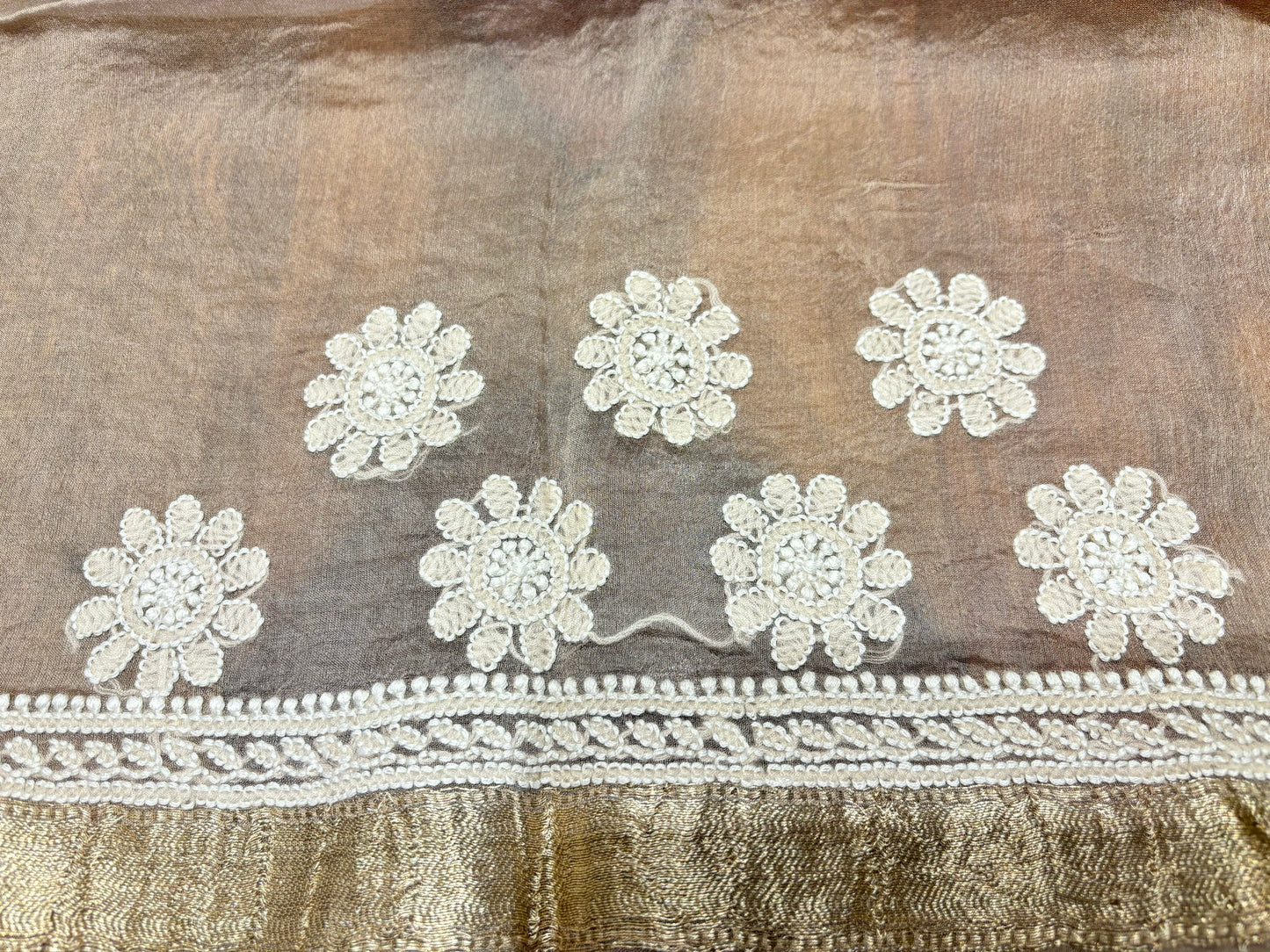 Latte Organza Silk Chikankari Saree and Blouse