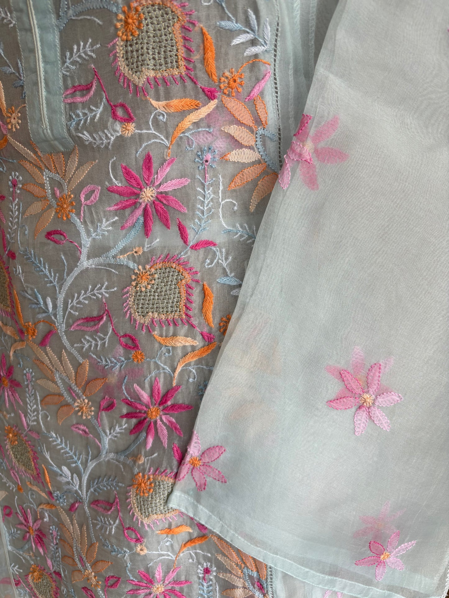 Powder Blue Organza Chikankari Kurta and Dupatta