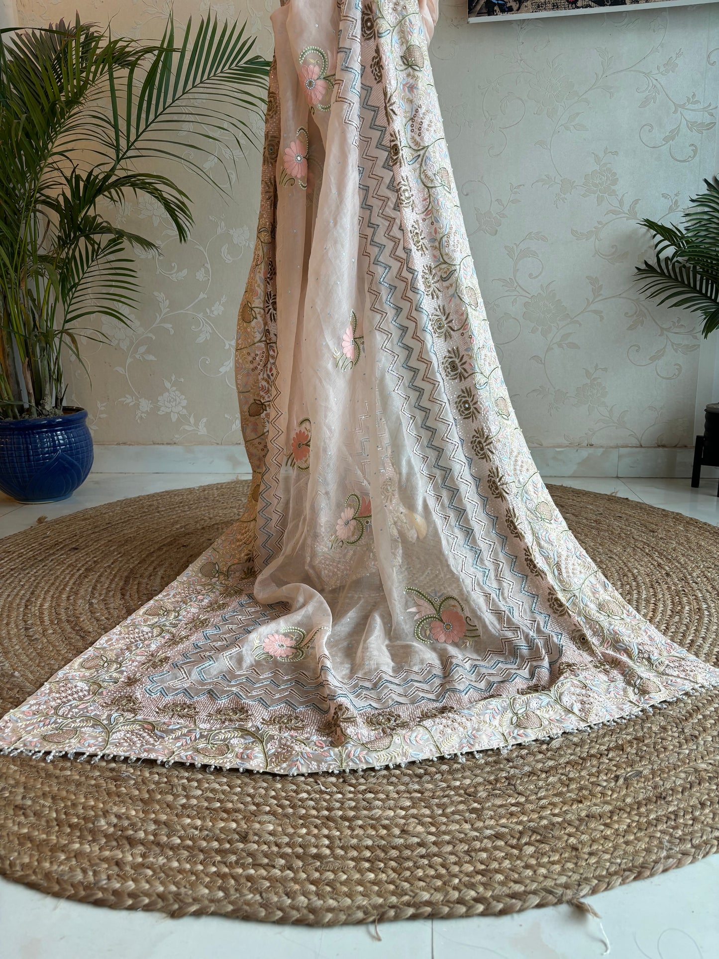 Peach Organza Chikankari Saree