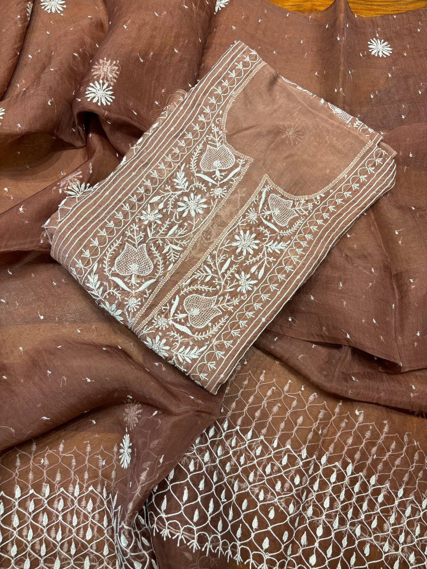 Garnet Organza Silk Chikankari Kurta and Dupatta