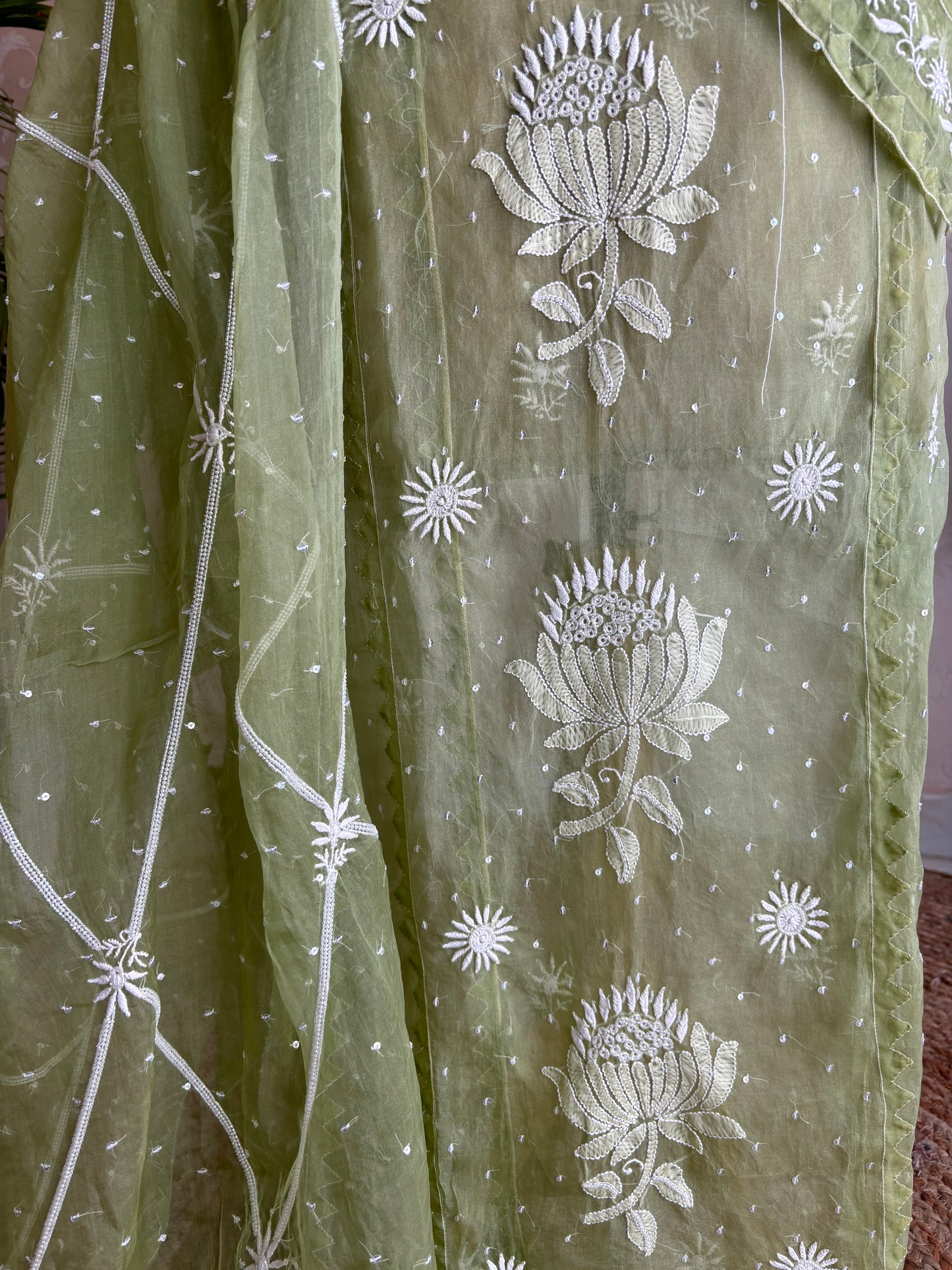 Nori Green Organza Chikankari Kurta and Dupatta