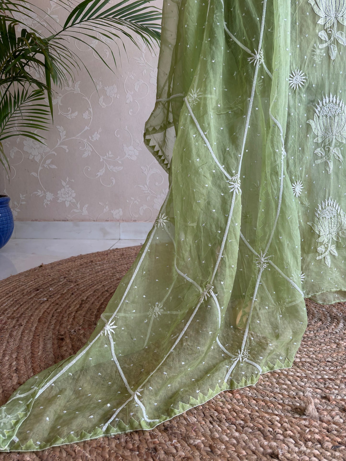 Nori Green Organza Chikankari Kurta and Dupatta