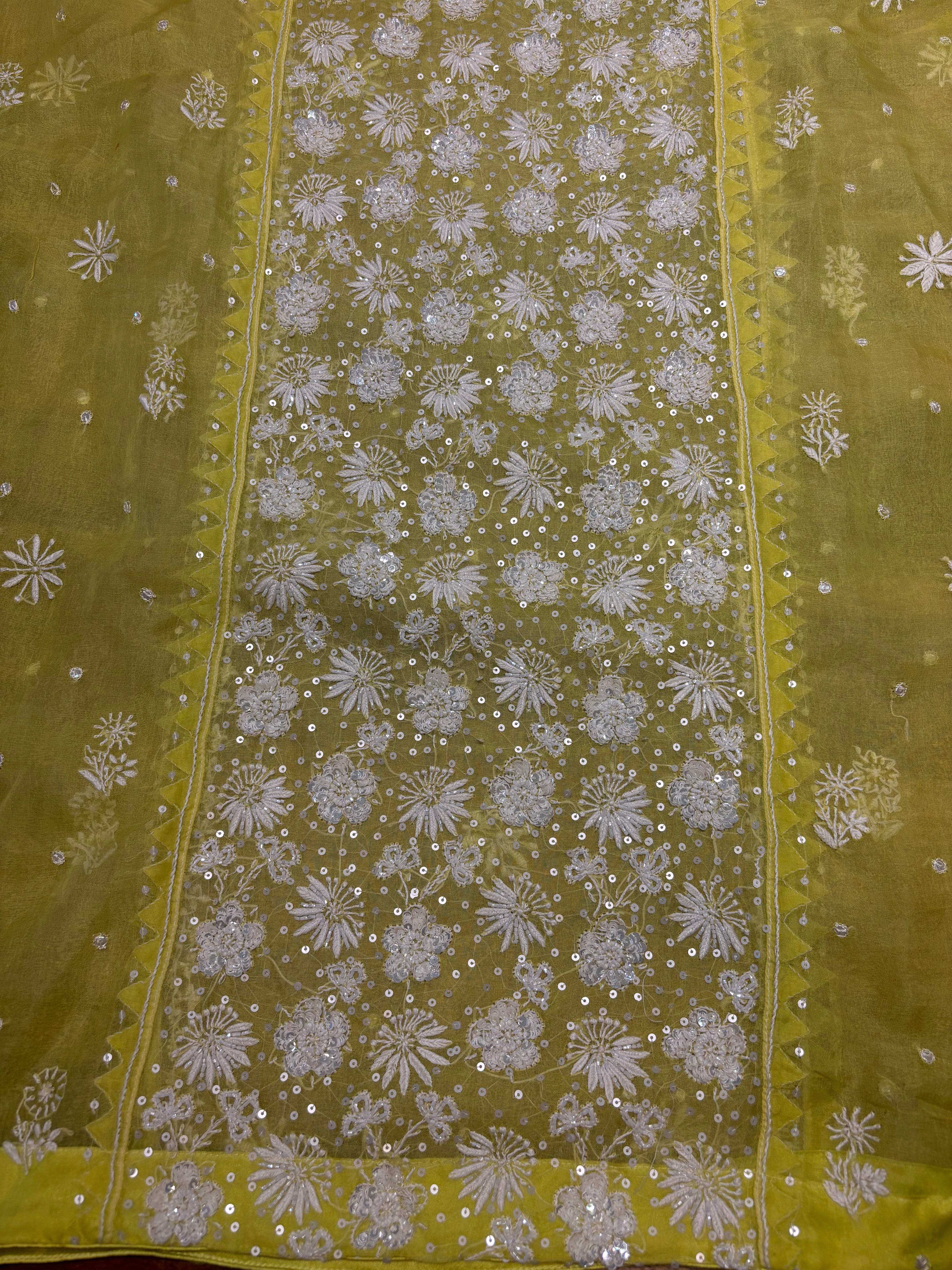 Lime Green Organza Silk Chikankari Kurta and Dupatta