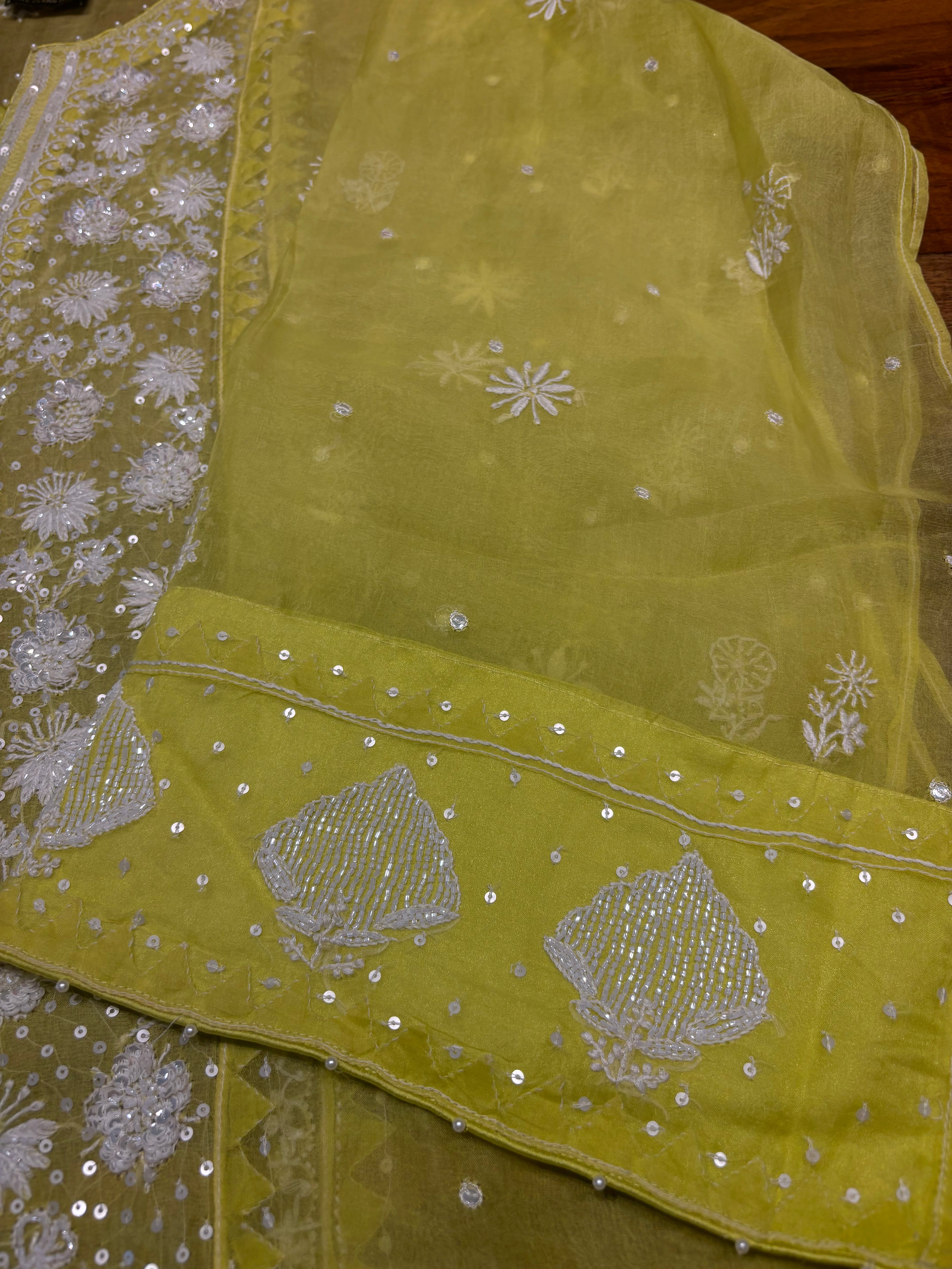 Lime Green Organza Silk Chikankari Kurta and Dupatta