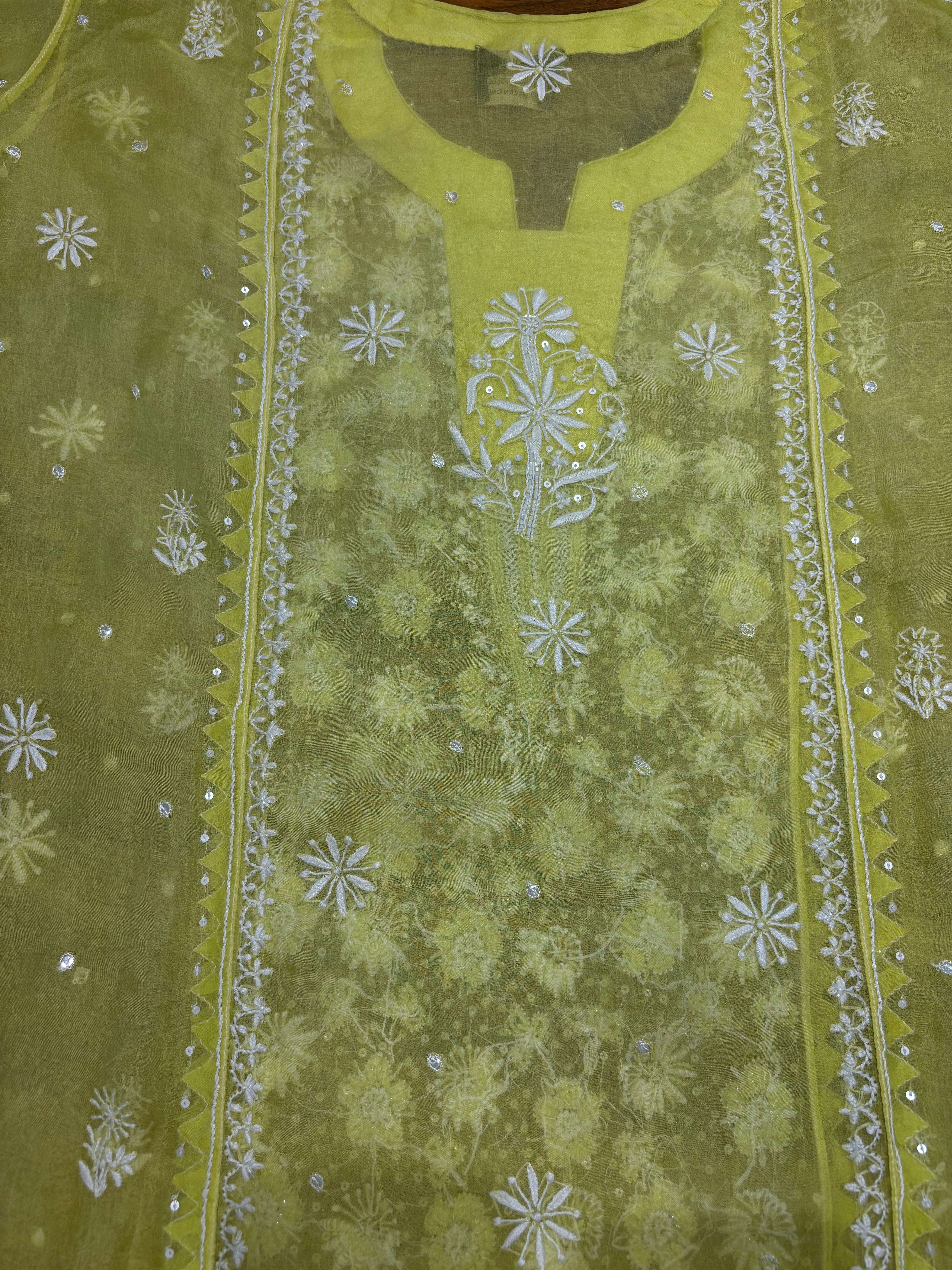 Lime Green Organza Silk Chikankari Kurta and Dupatta