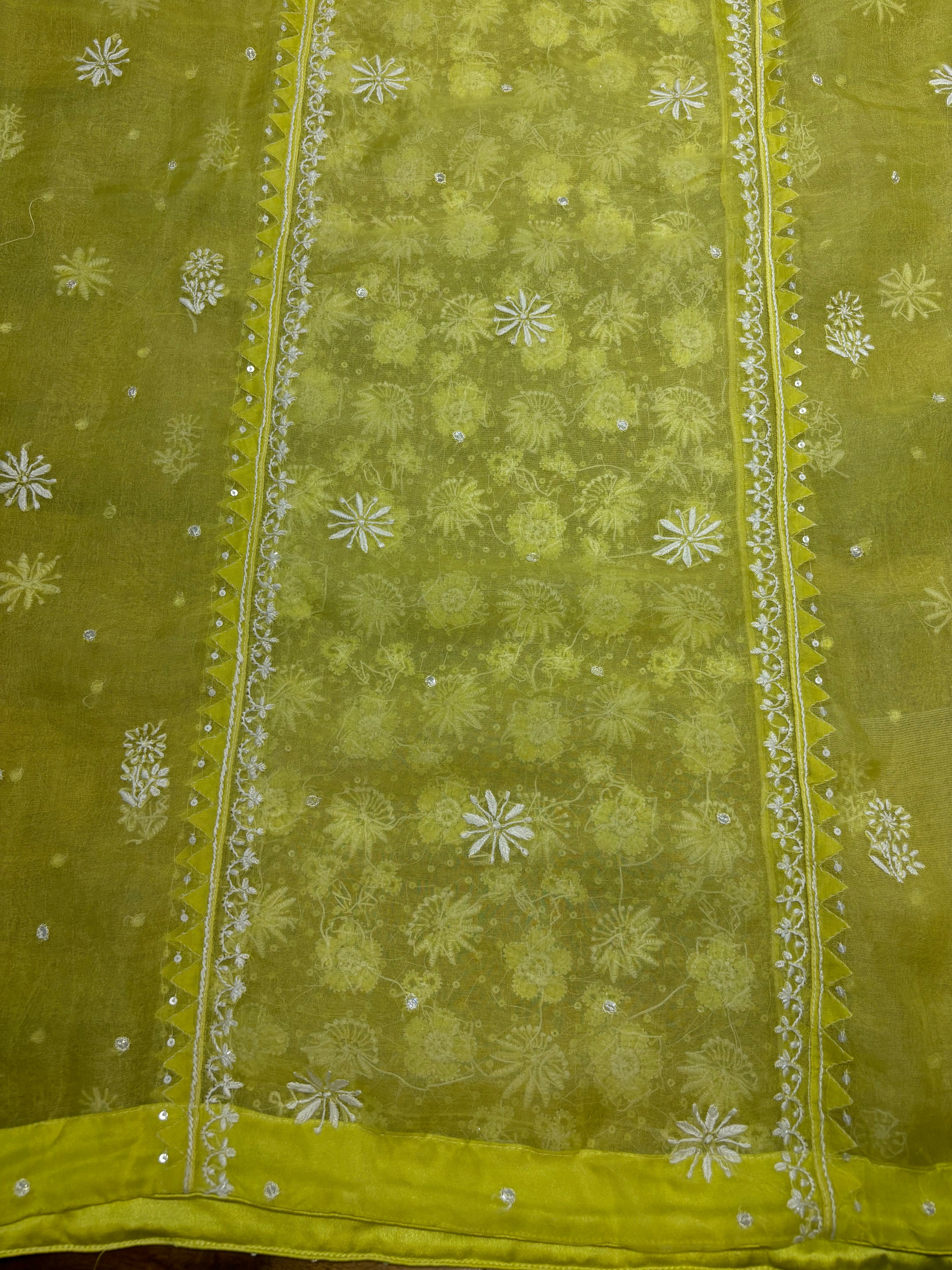 Lime Green Organza Silk Chikankari Kurta and Dupatta