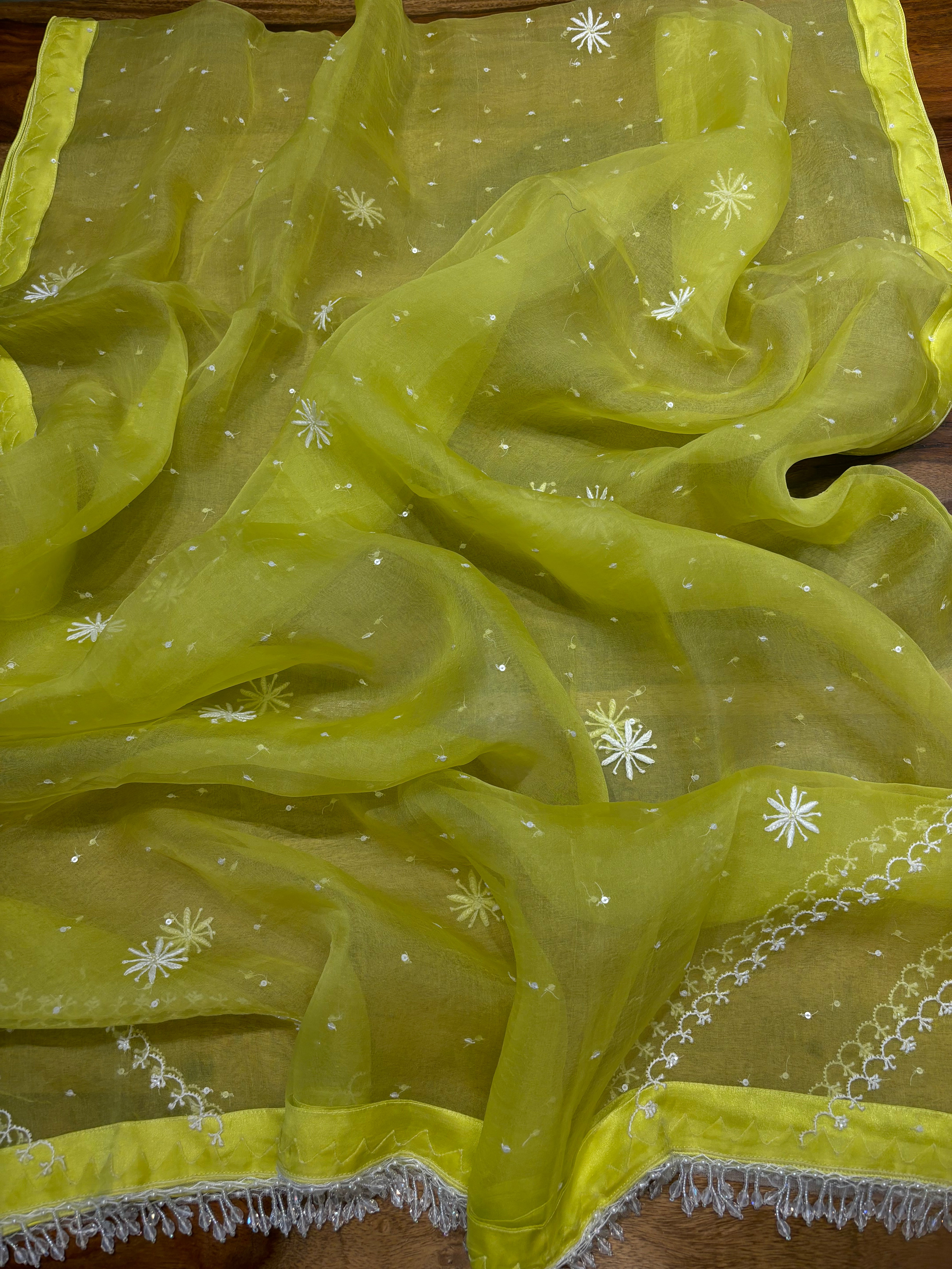 Lime Green Organza Silk Chikankari Kurta and Dupatta