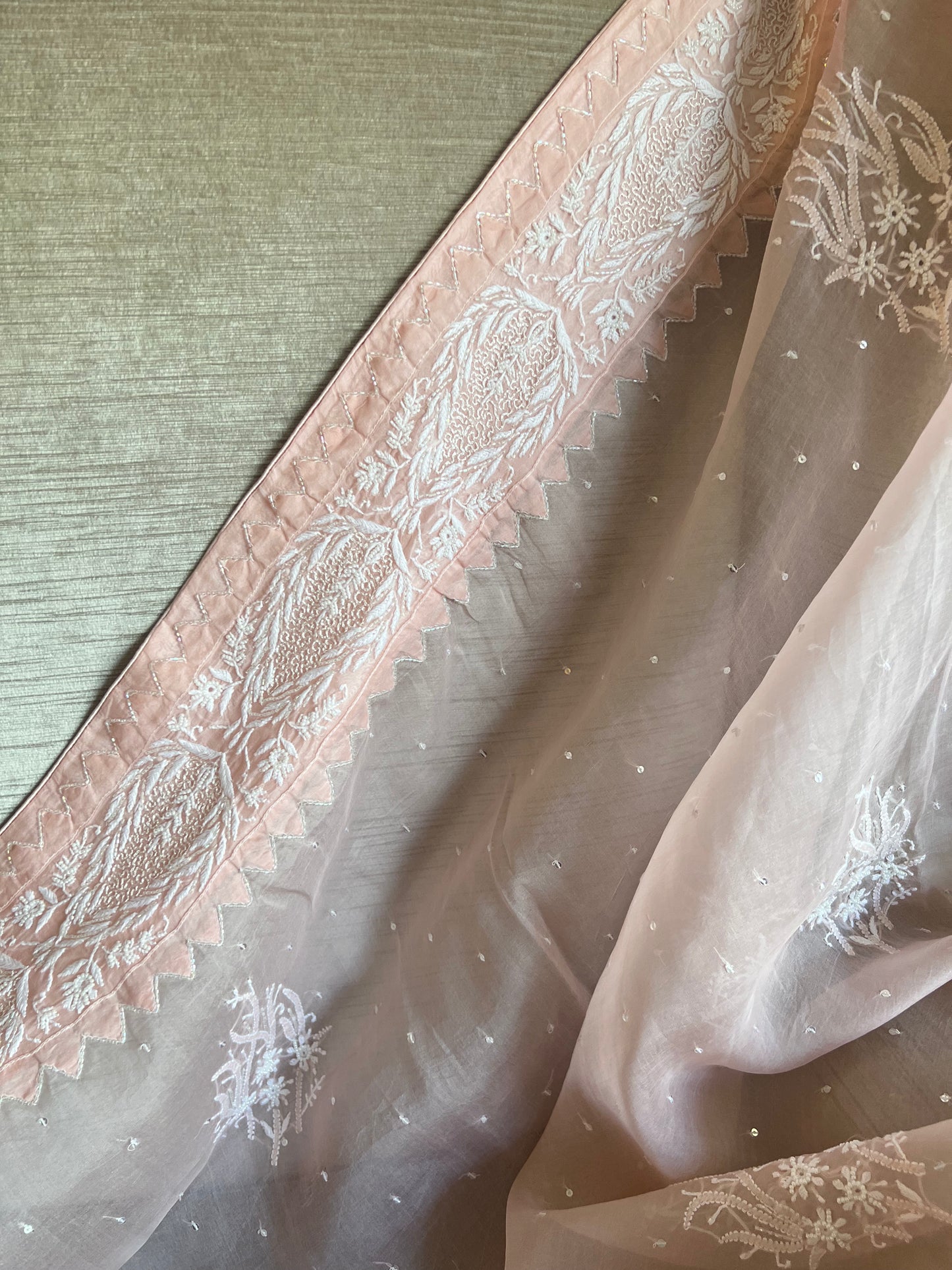 Blush Pink Organza Silk Chikankari Saree and Blouse