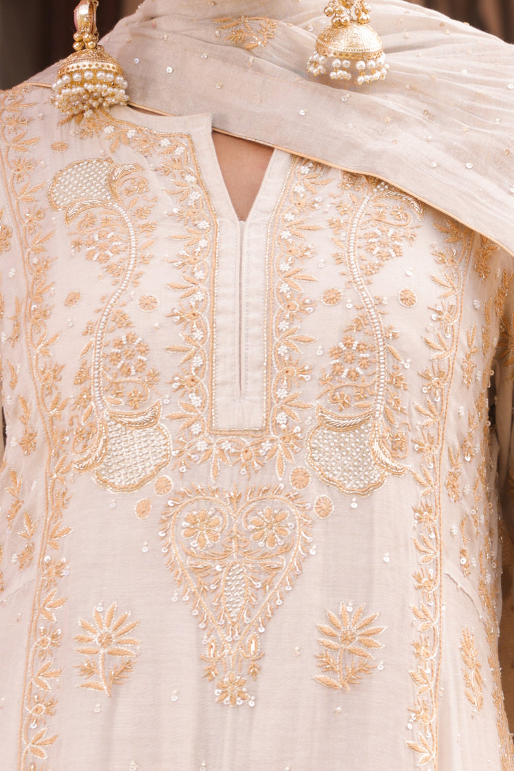 Dyeable Silver Tissue Chikankari Anarkali & Dupatta - Pleats PleaseChikankari