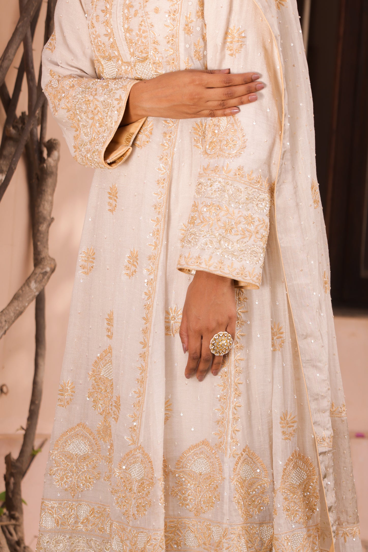 Dyeable Silver Tissue Chikankari Anarkali & Dupatta - Pleats PleaseChikankari