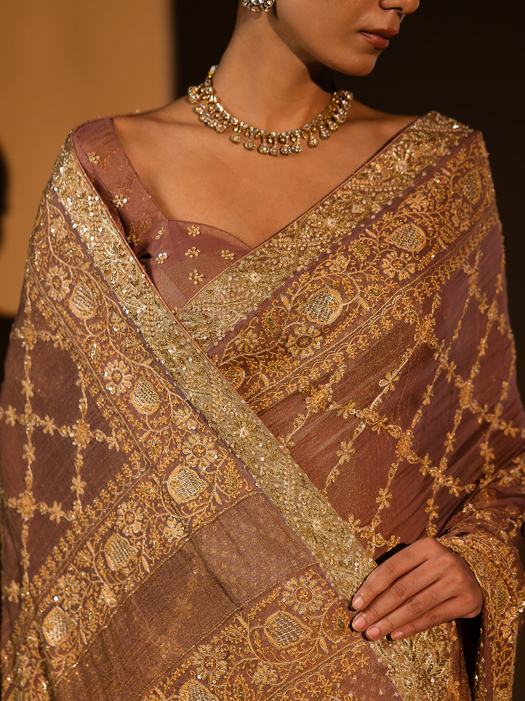 Garnet Pure & Premium Tissue Chikankari Saree