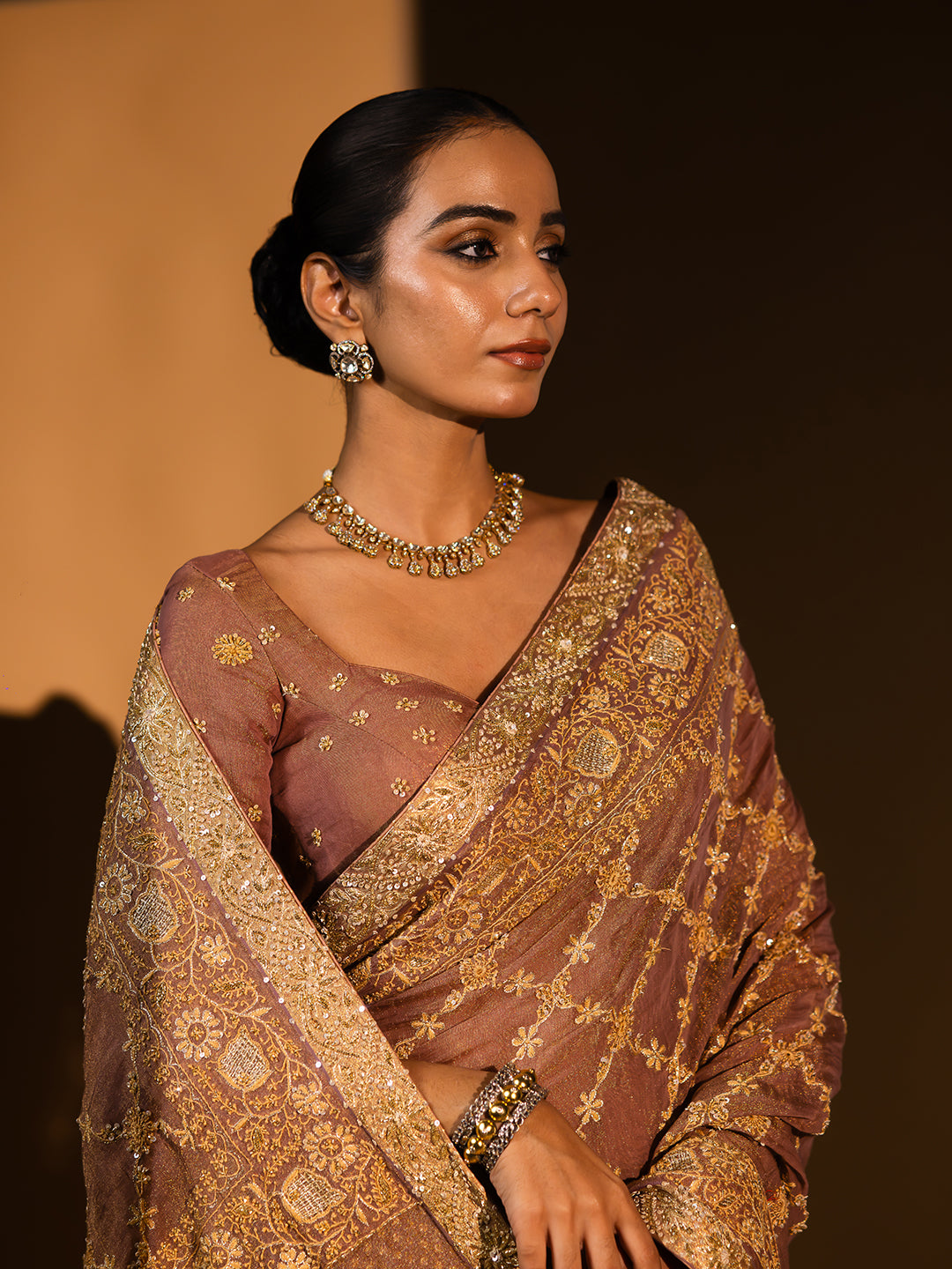 Garnet Pure & Premium Tissue Chikankari Saree